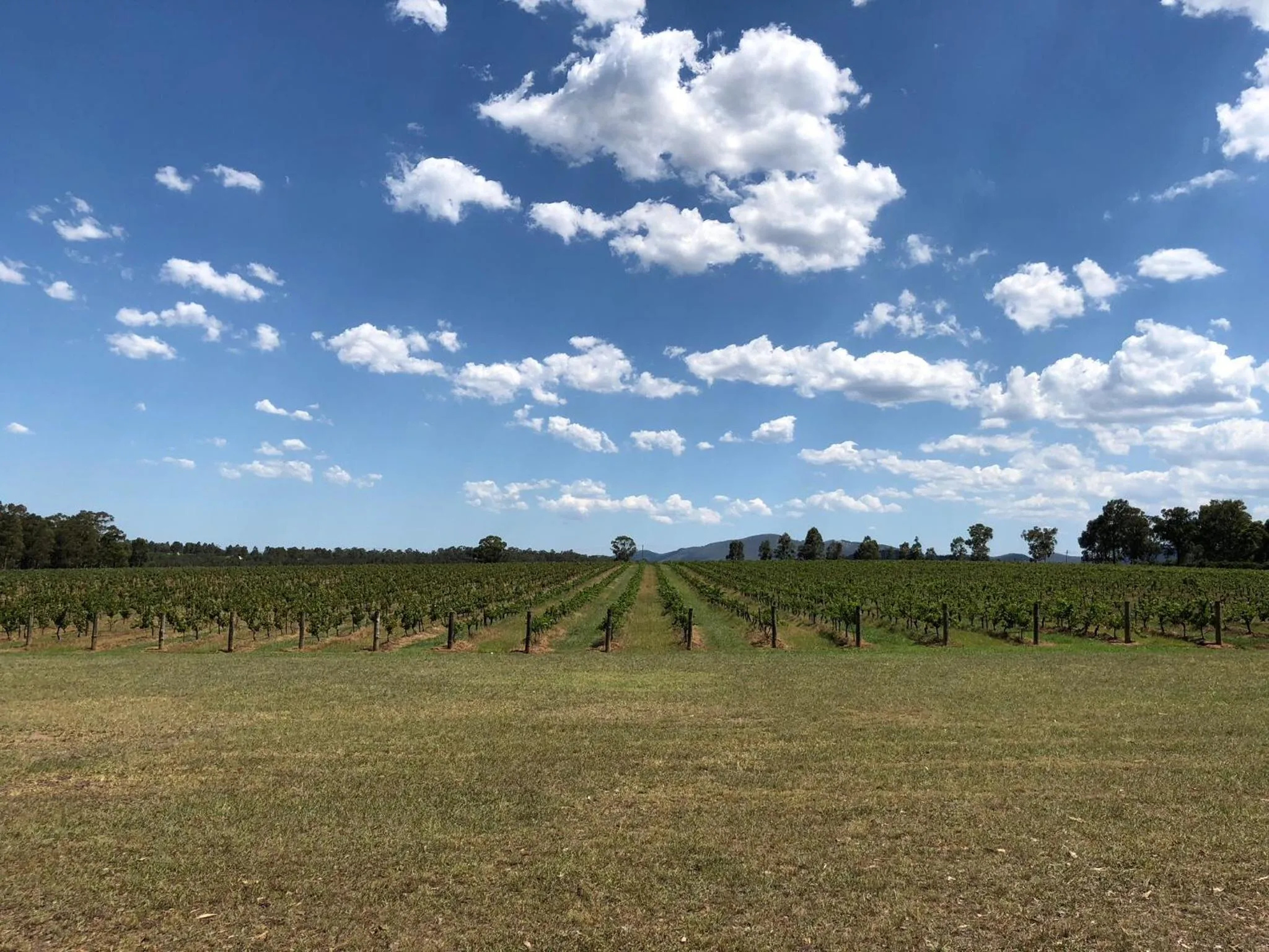 Villa Provence Estate