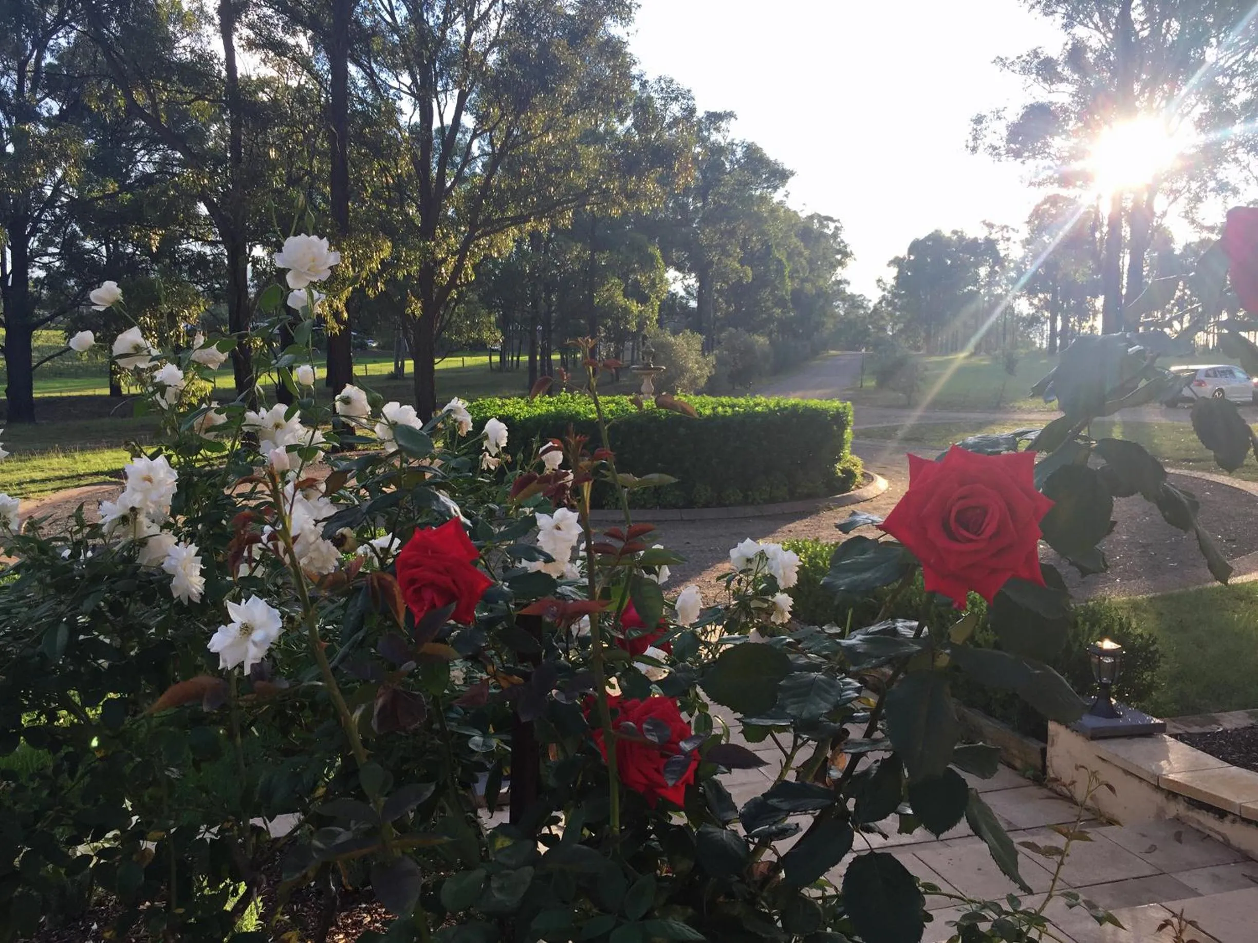 Villa Provence Estate