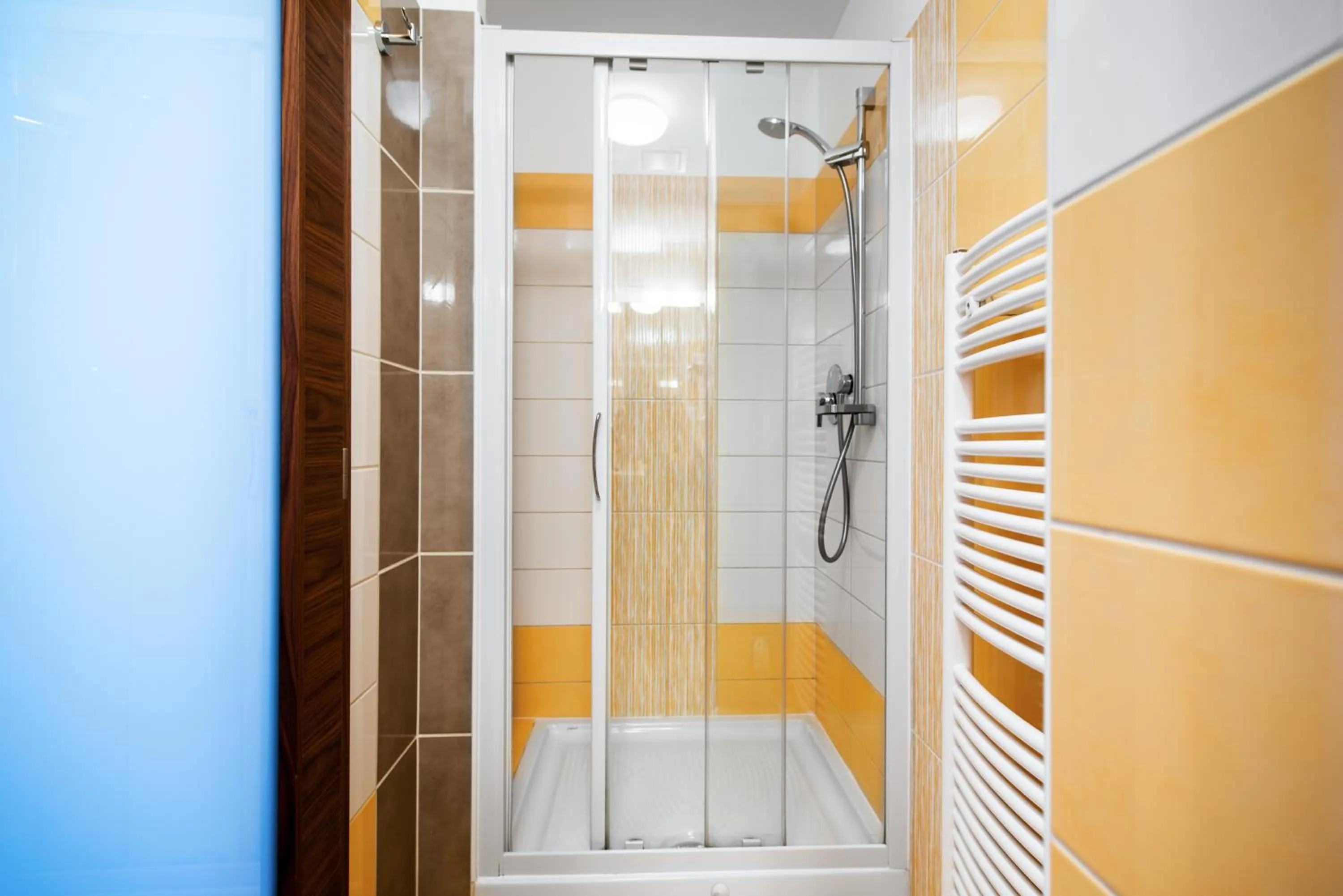 Shower in Hotel Mlynska