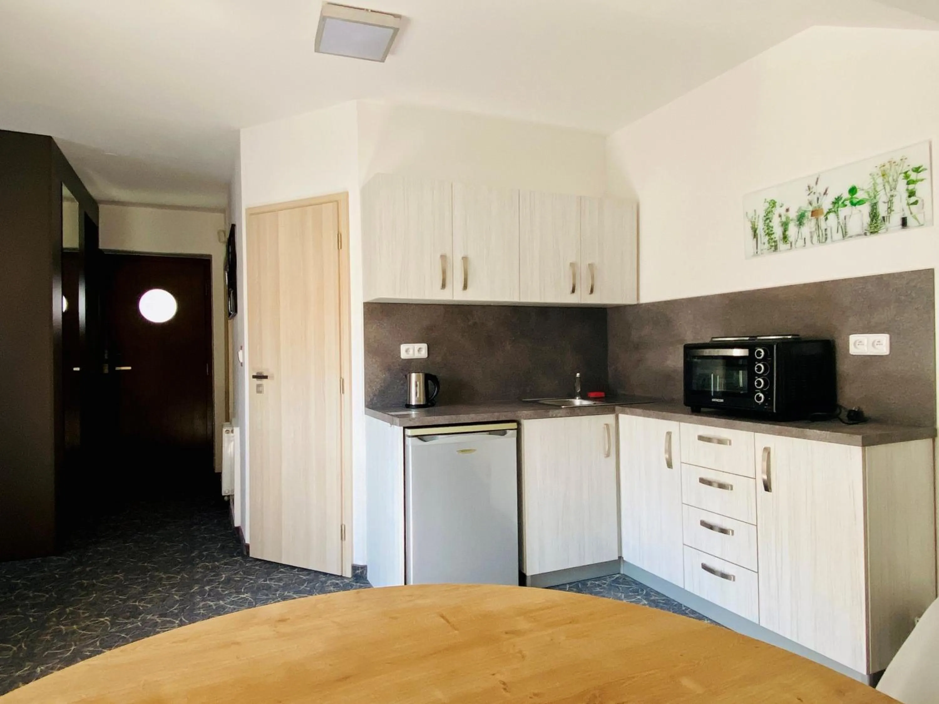 Kitchen or kitchenette in Hotel Mlynska