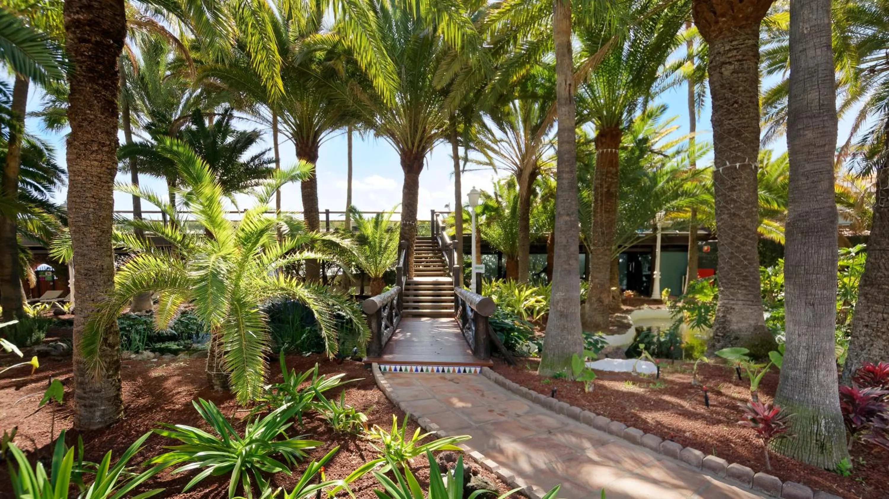 Garden in Hotel Parque Tropical