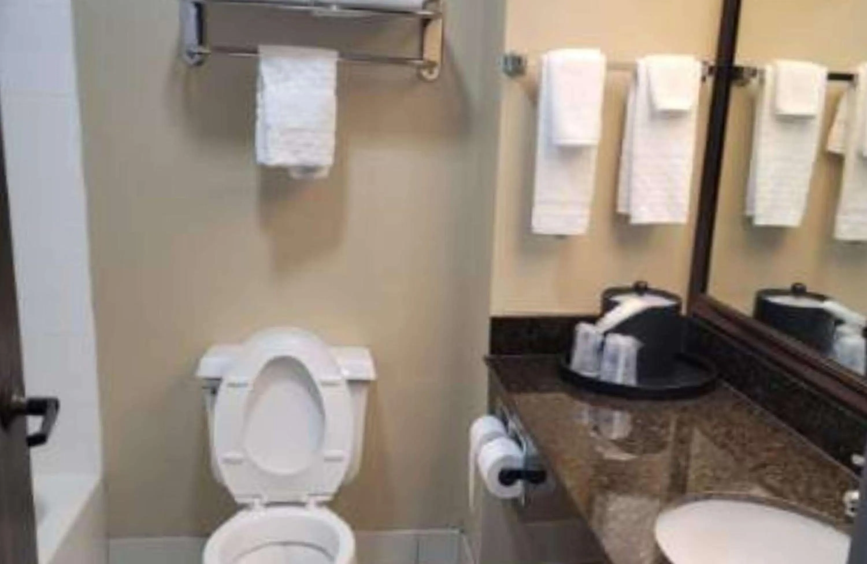 Bathroom in Best Western Plus Mishawaka Inn