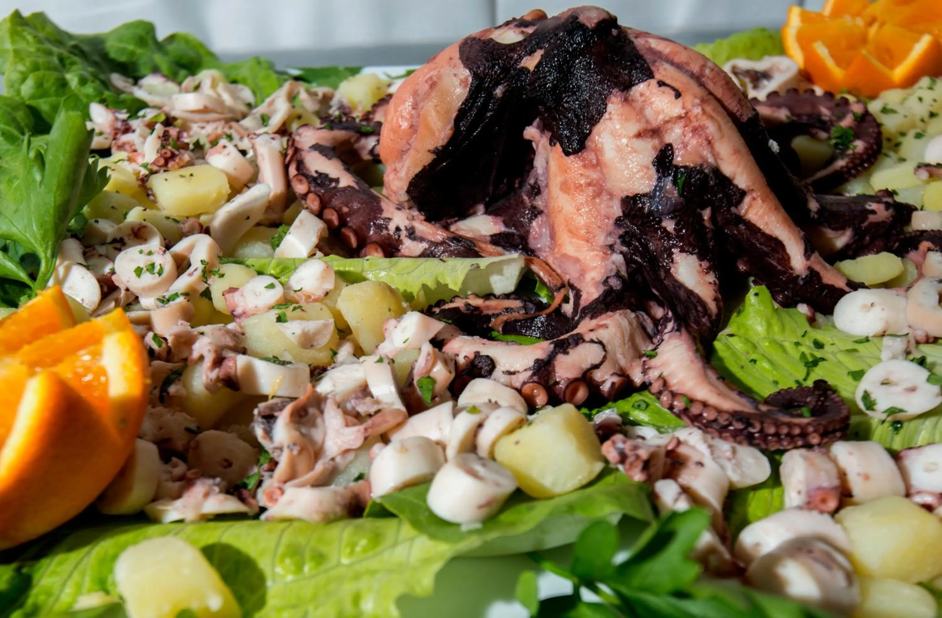 Restaurant/places to eat in Hotel Scarlet