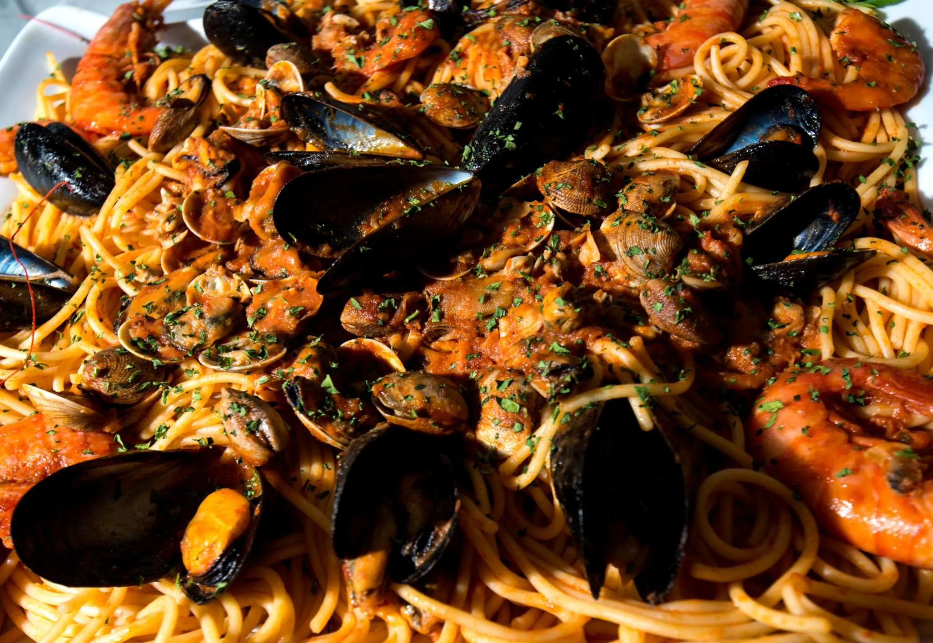 Restaurant/places to eat in Hotel Scarlet