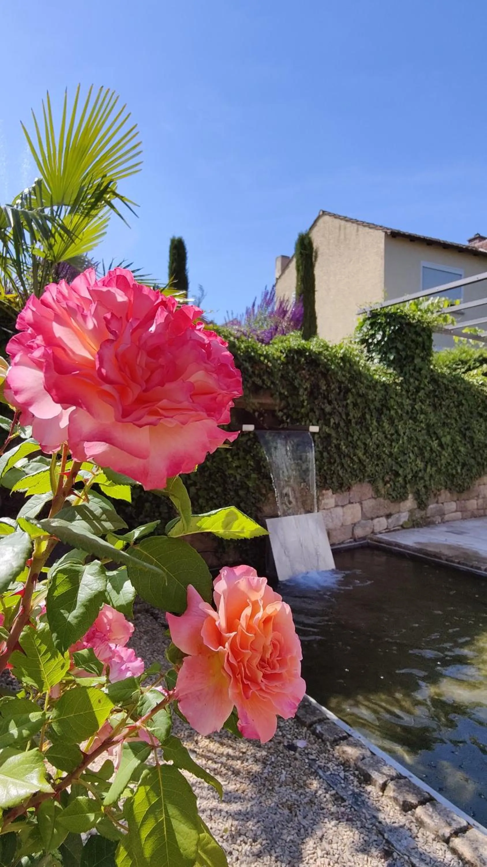 Garden in Casa Palatina