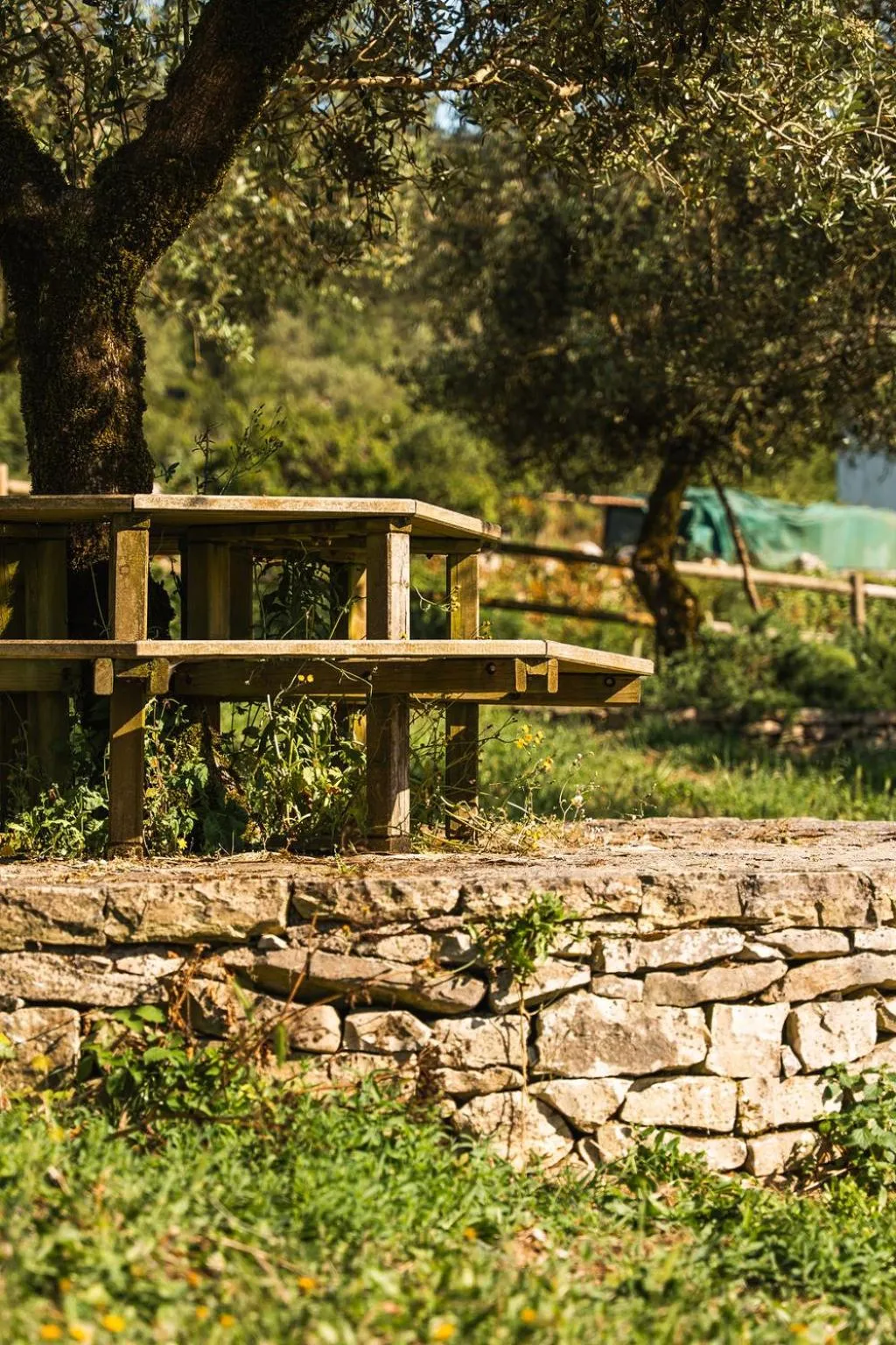 Activities in Serra d'Aire Boutique Hotel - SA Hotels