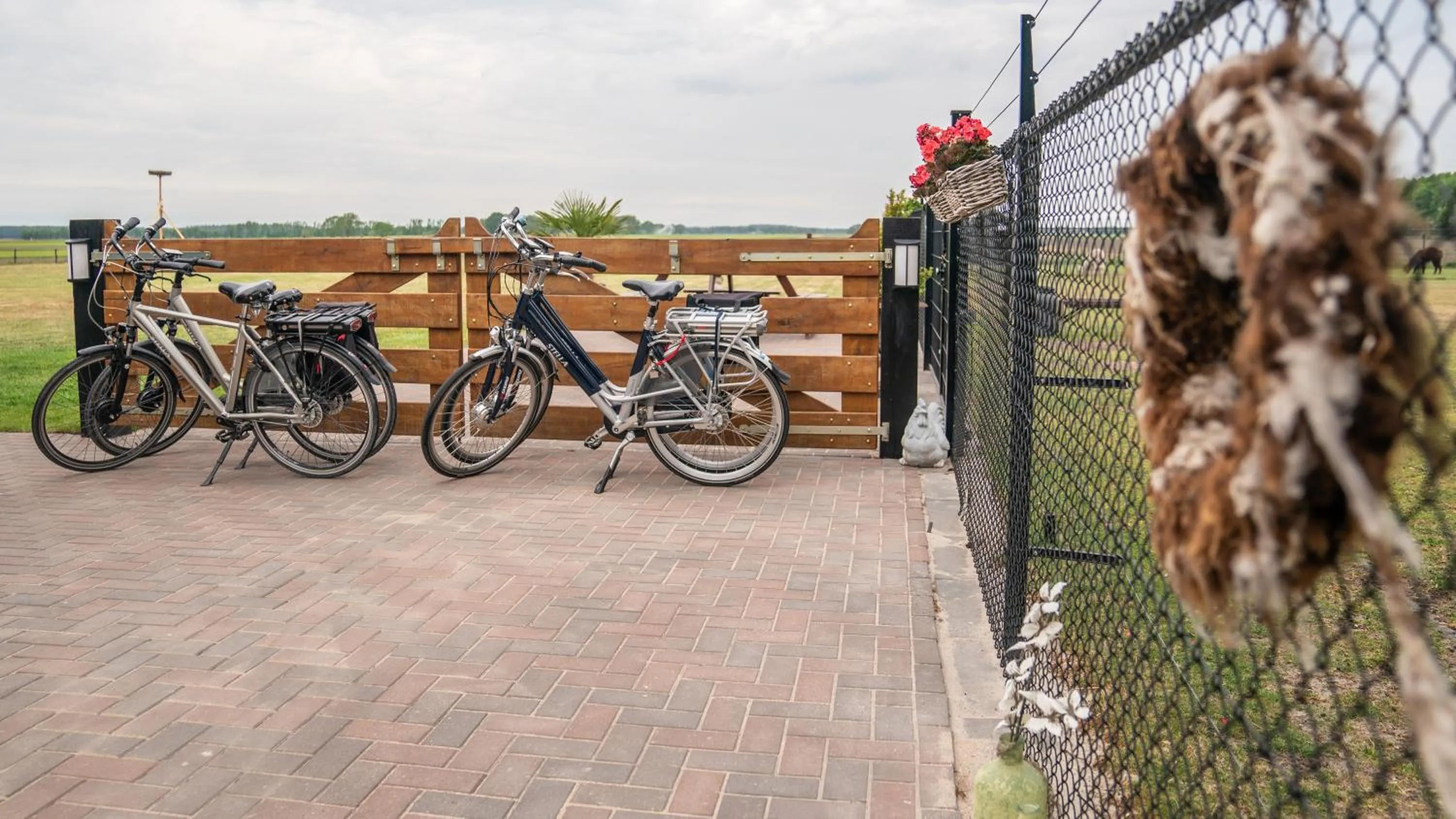 Cycling in B&B Hertenhoef, Fluitenberg (Hoogeveen)