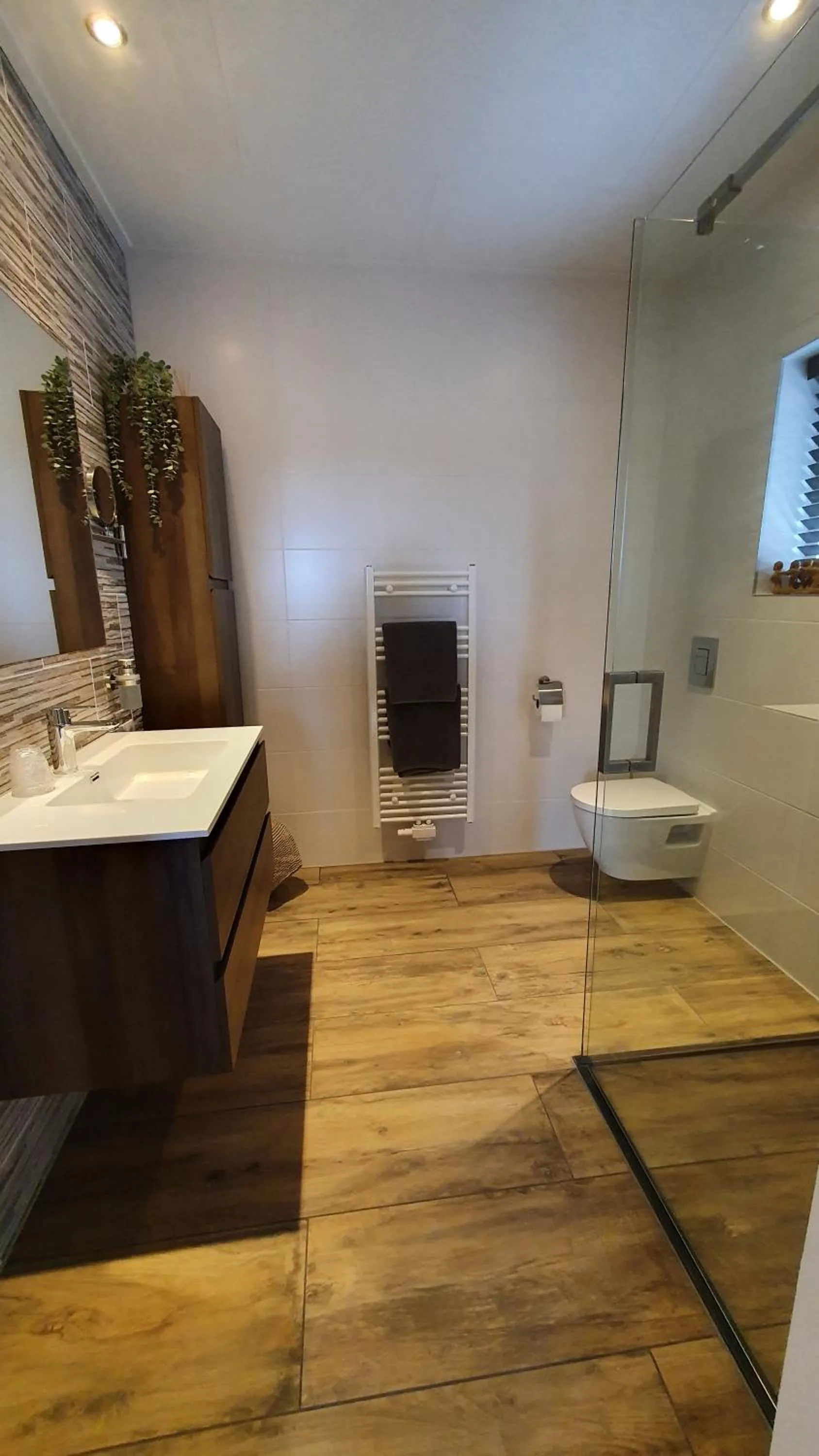 Toilet in B&B Hertenhoef, Fluitenberg (Hoogeveen)