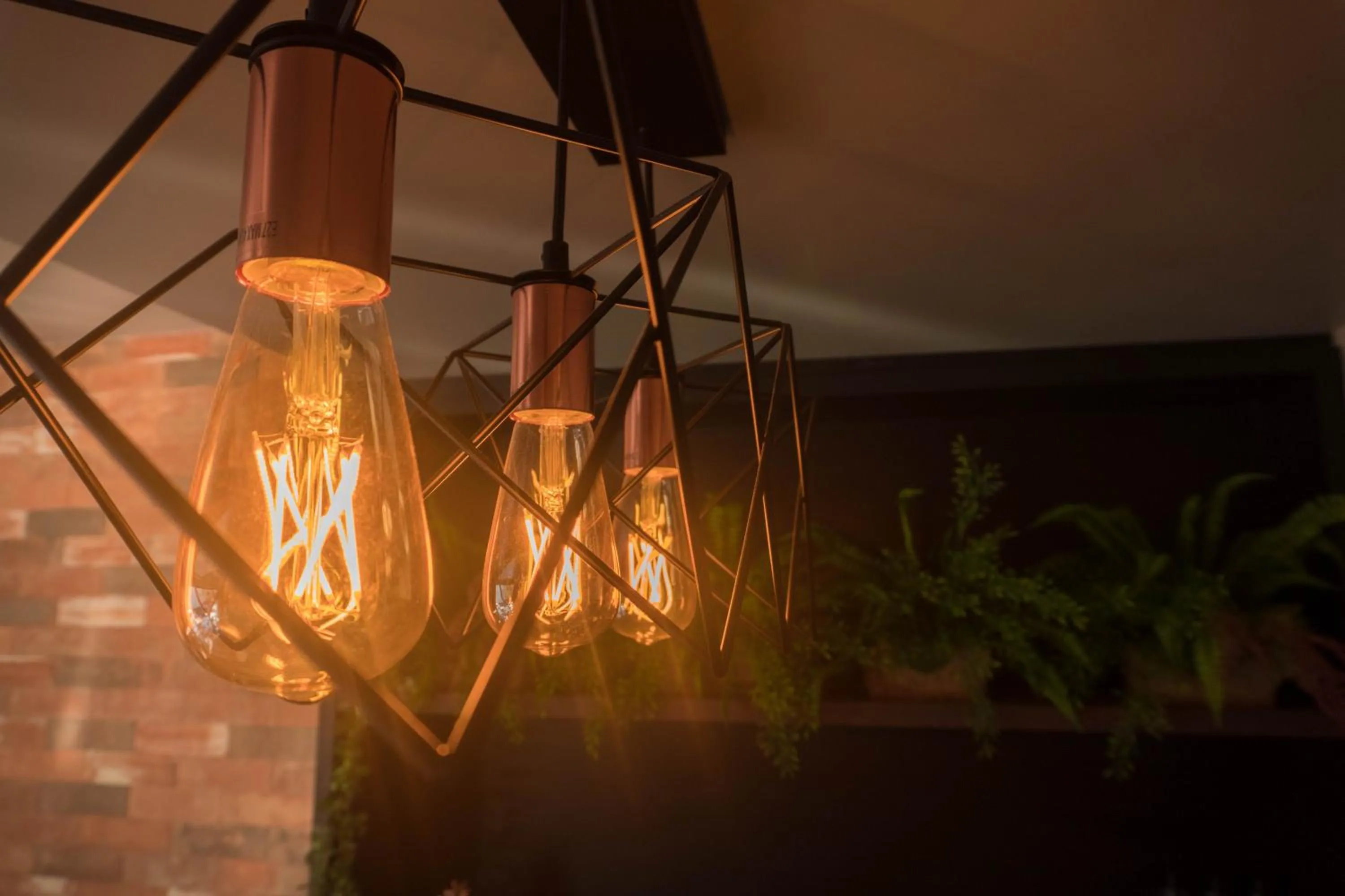 Hotel Blumenhof Balneário Camboriú