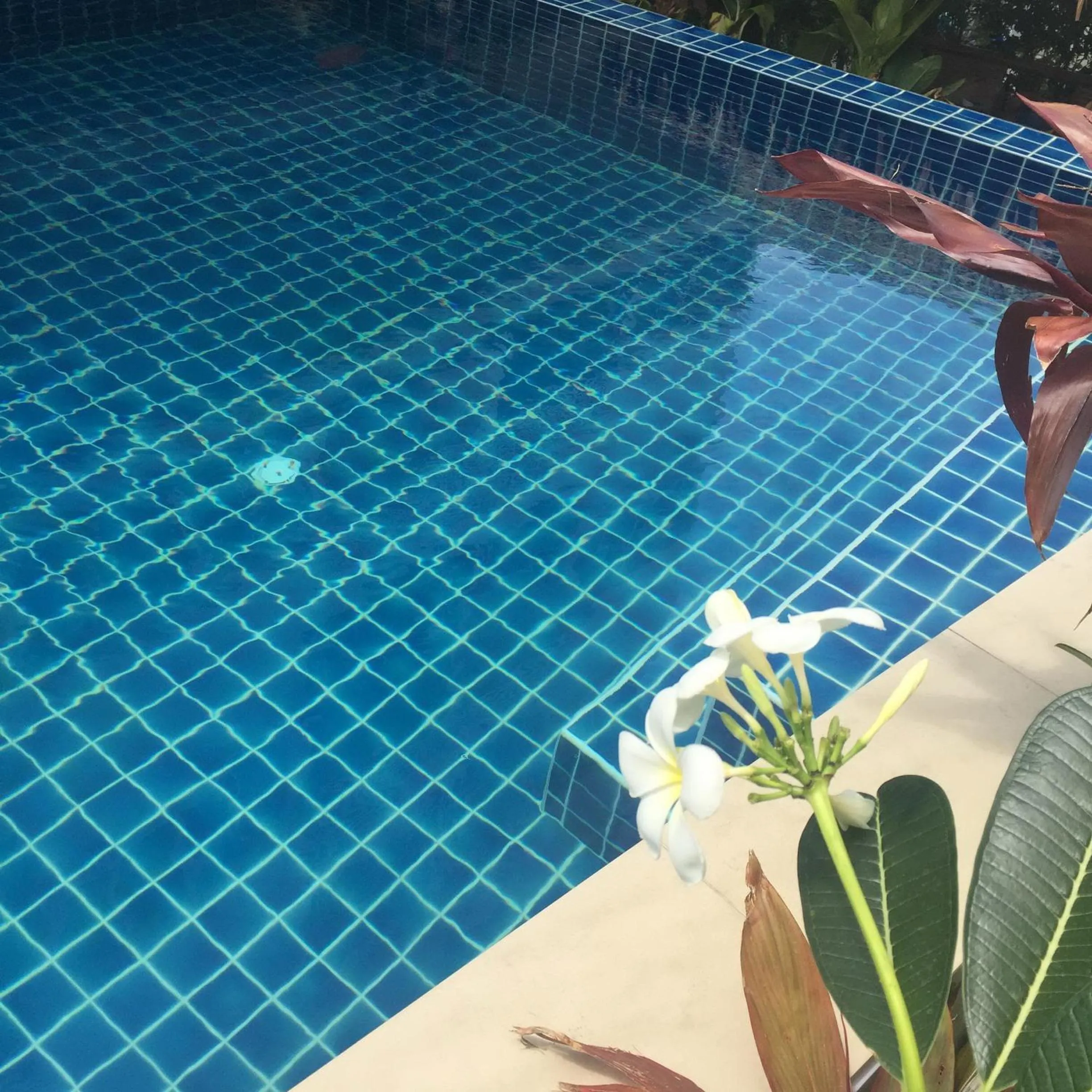 Swimming pool in Green Harbor Hotel & Service Apartment