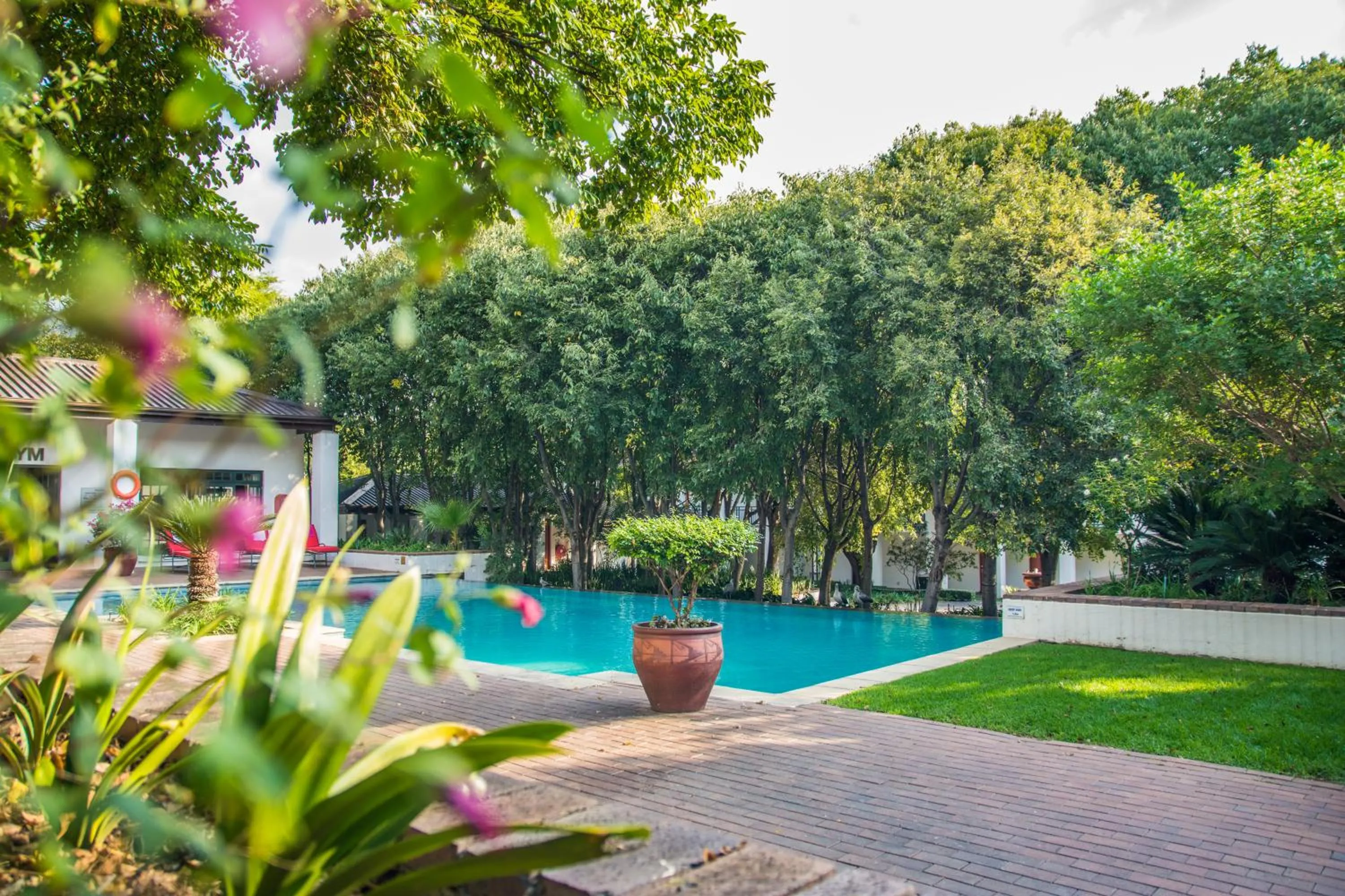 Pool view in Indaba Hotel, Spa & Conference Center