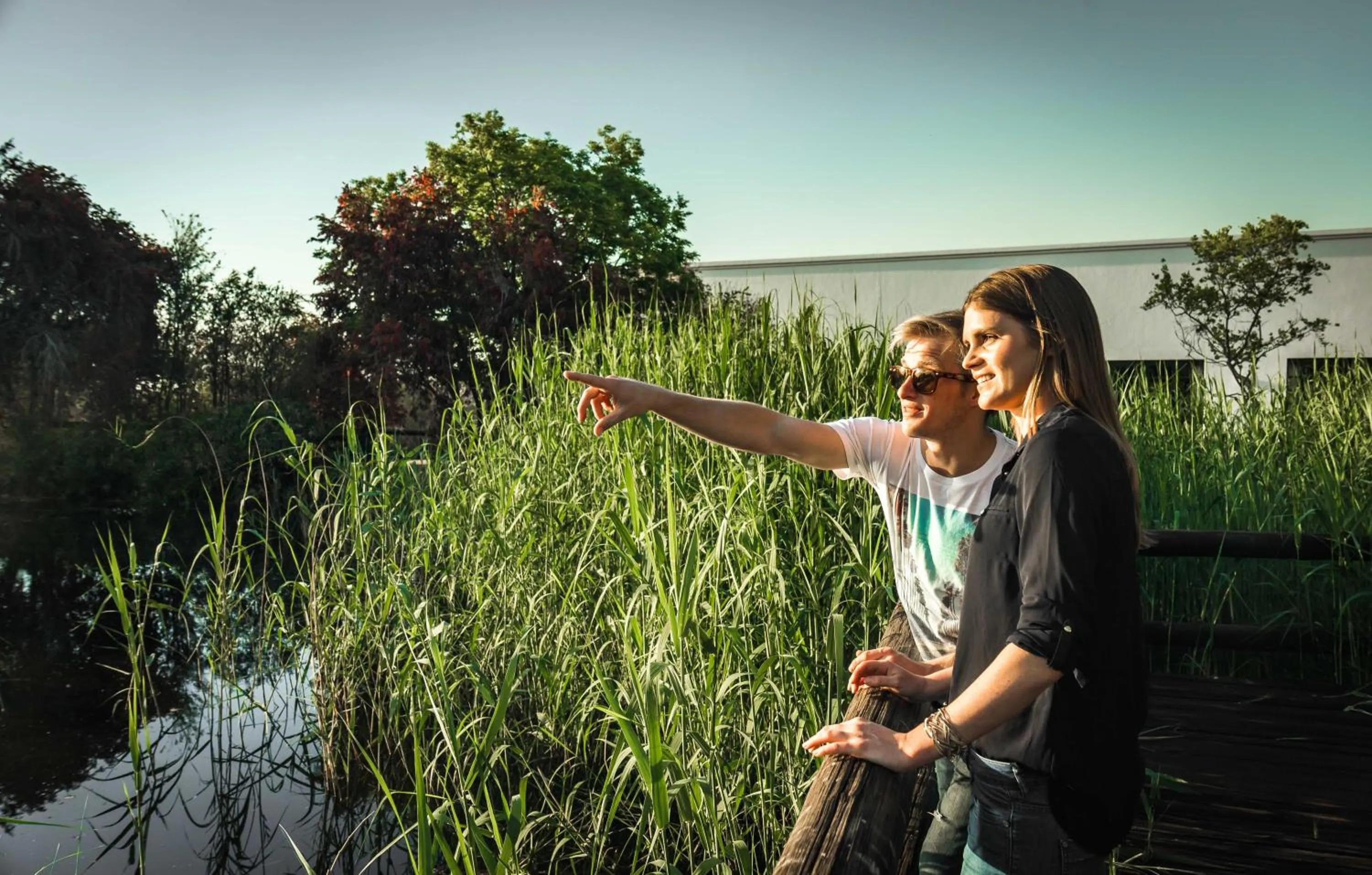 Day in Indaba Hotel, Spa & Conference Center