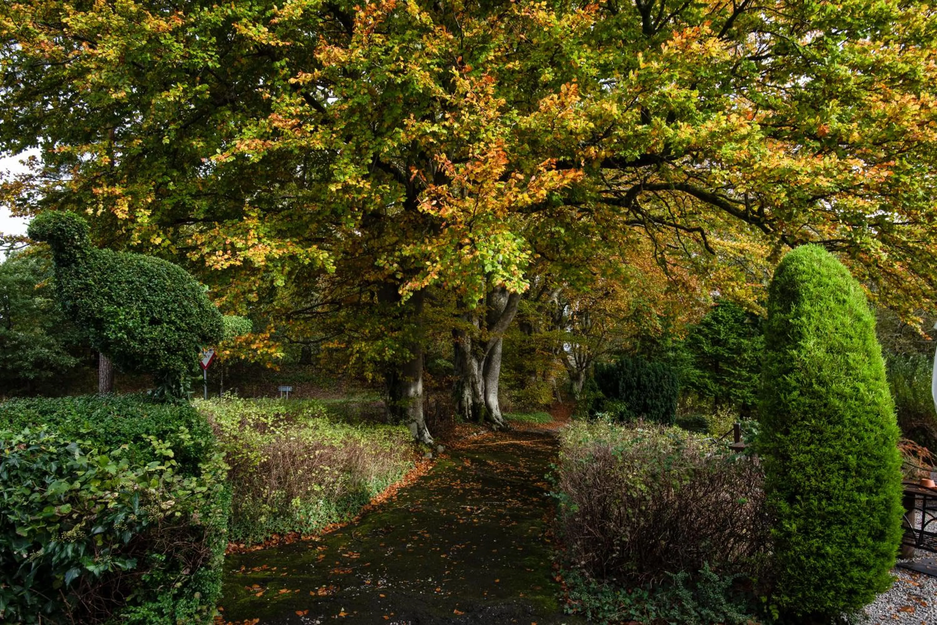 Garden in The Pheasant Inn - The Inn Collection Group