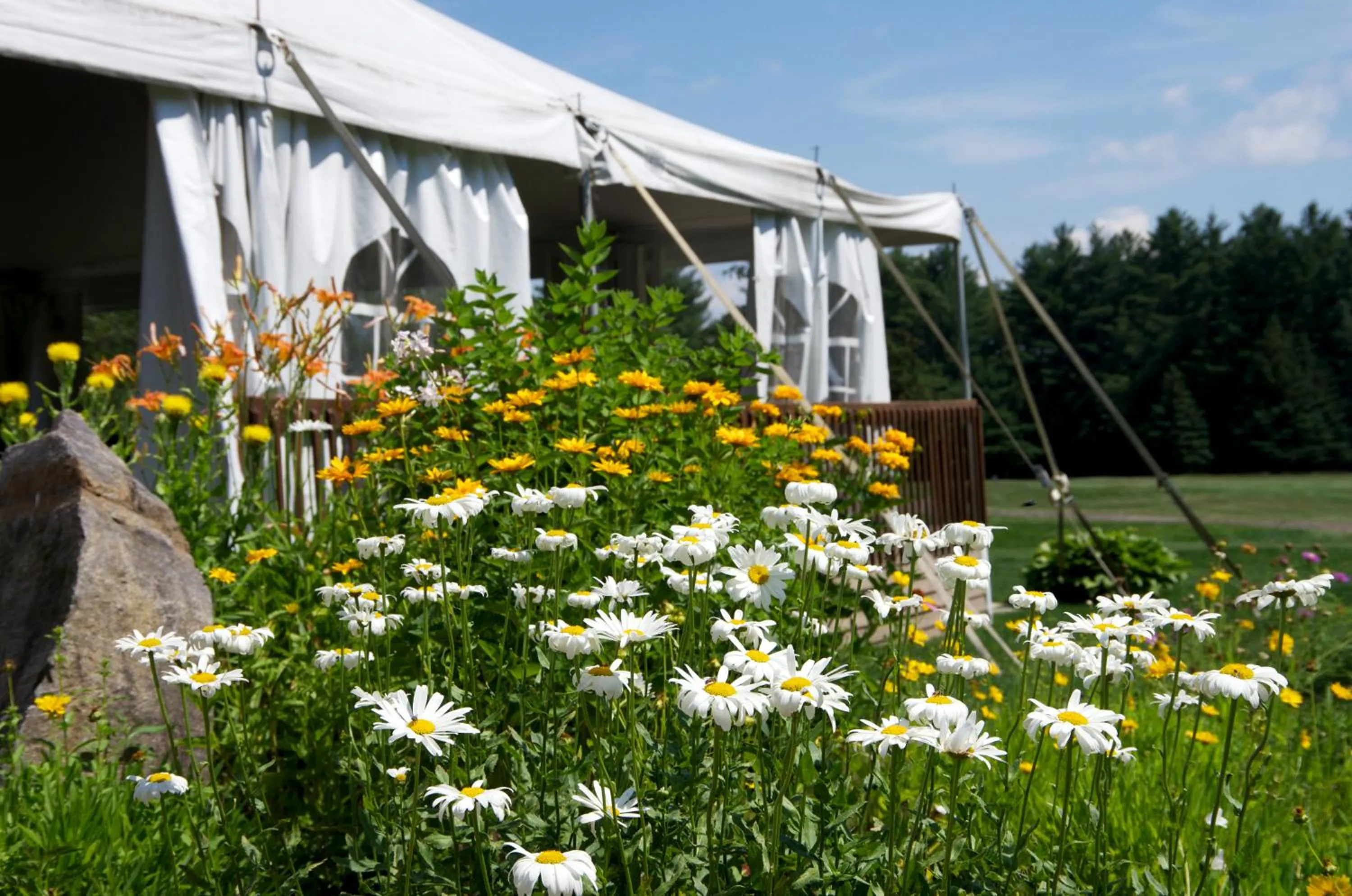 Other in Rawdon Golf Resort