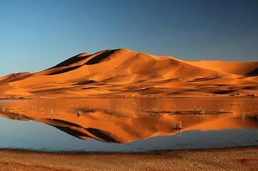 Palmeras Y Dunas Luxery Camp