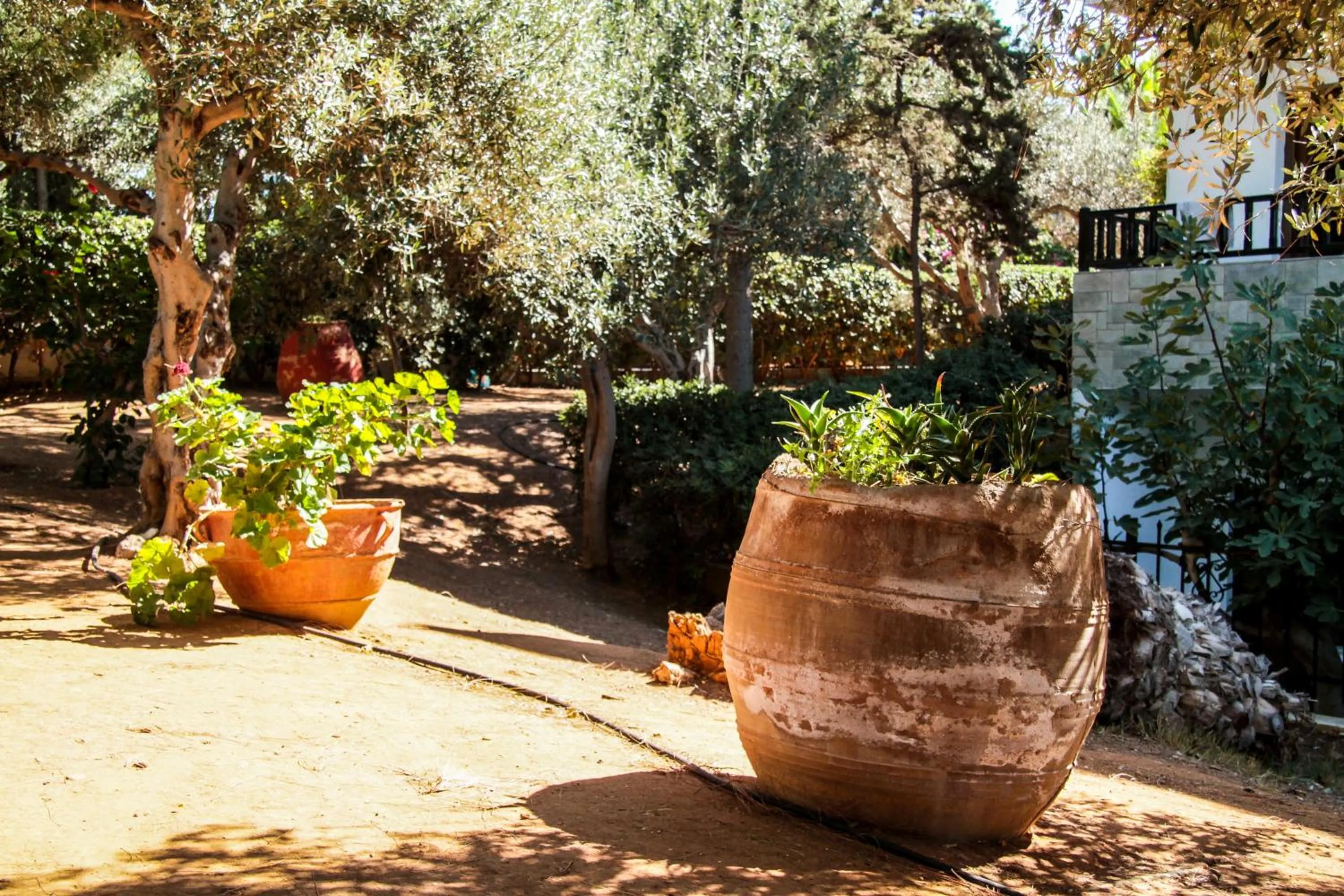 Garden in Lyda Hotel