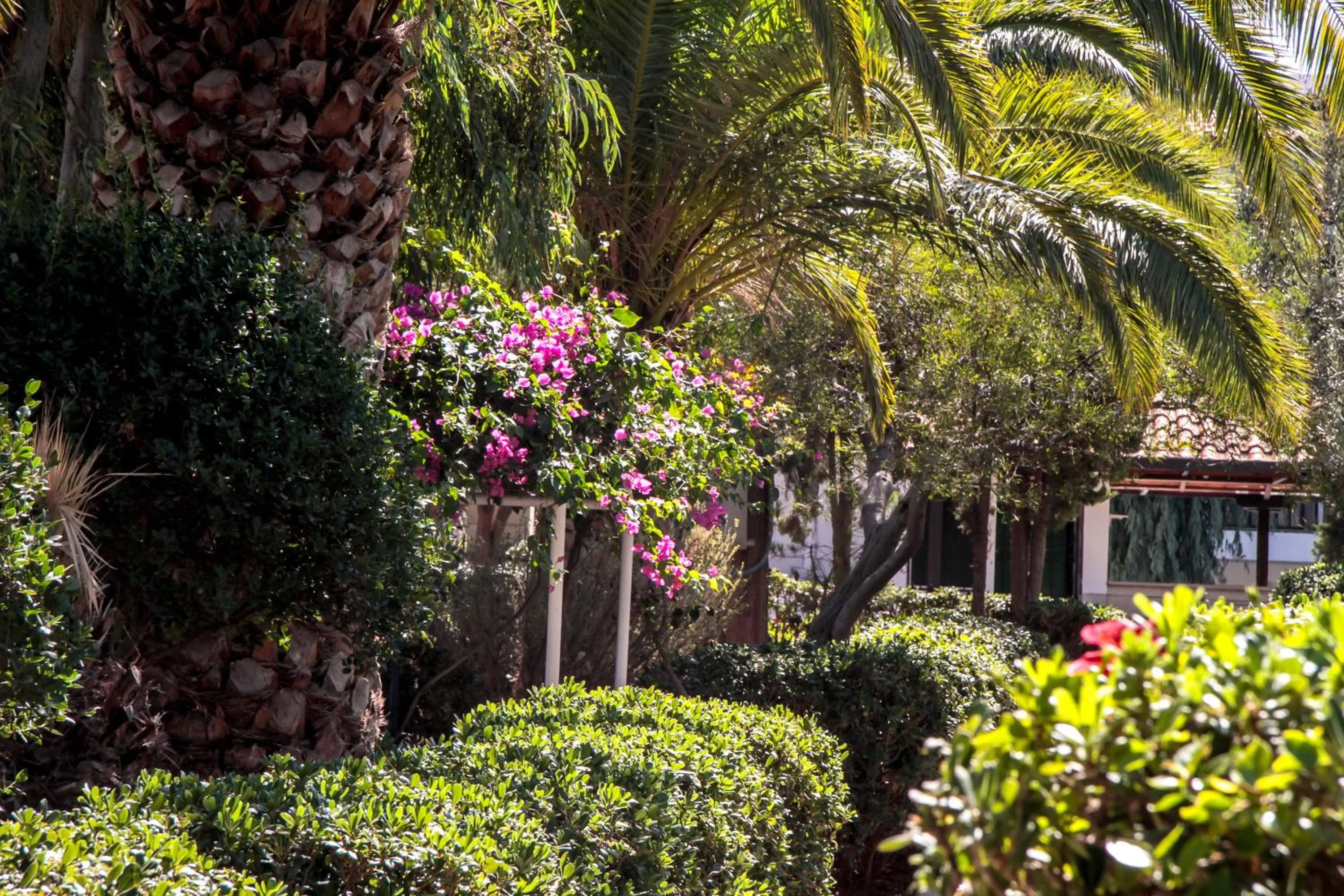 Property building in Lyda Hotel