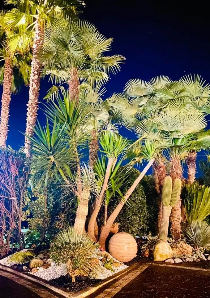 Garden in Hotel Liola'