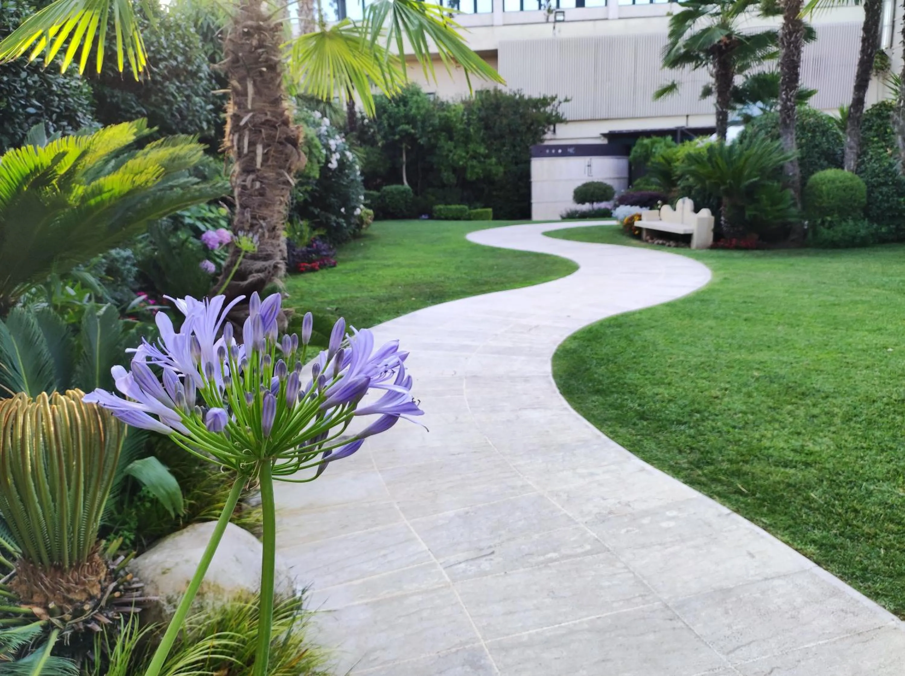 Garden in Hotel Liola'