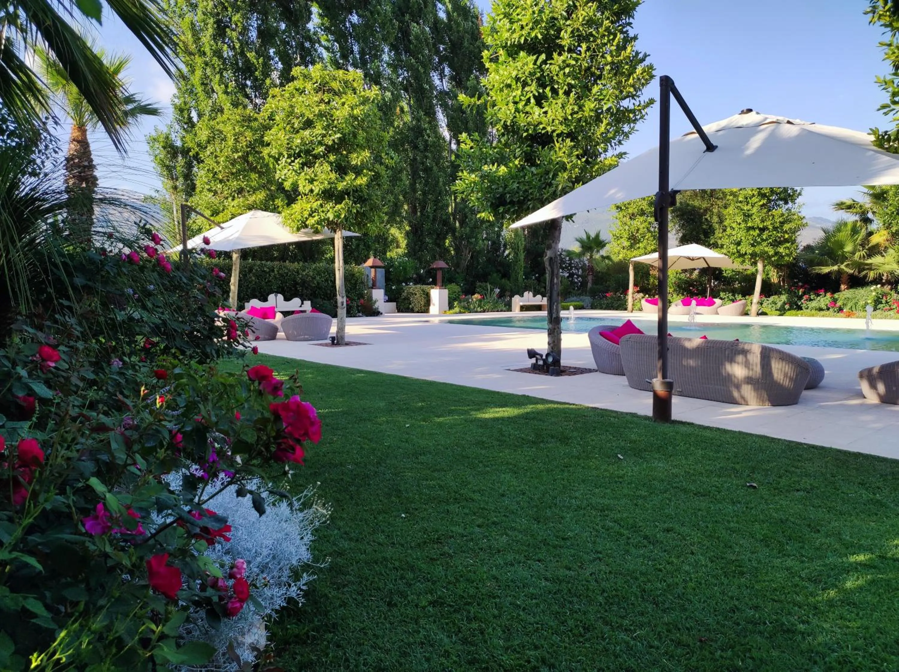 Garden in Hotel Liola'