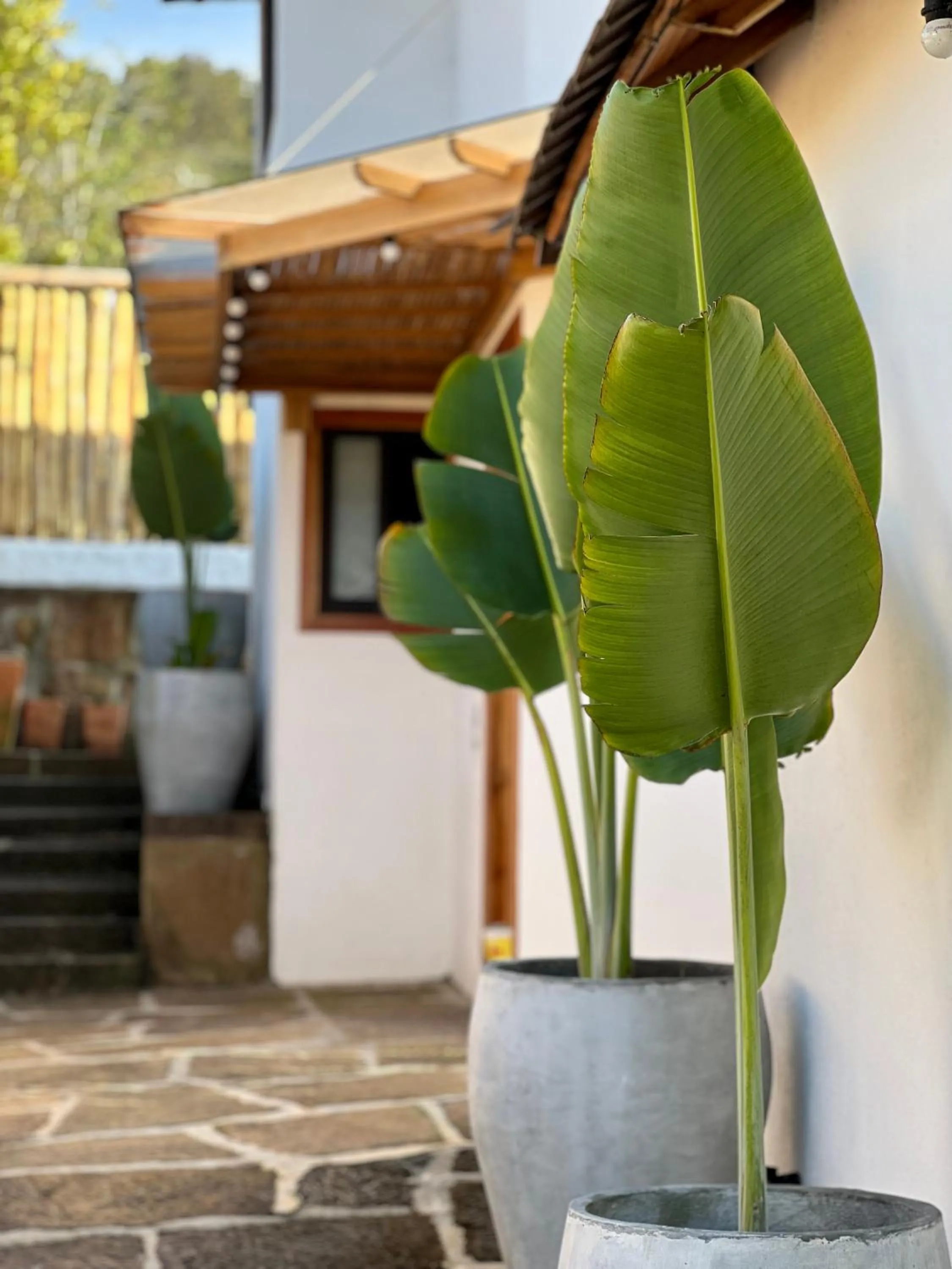 Off site in Hotel Campestre Palmas del Zamorano