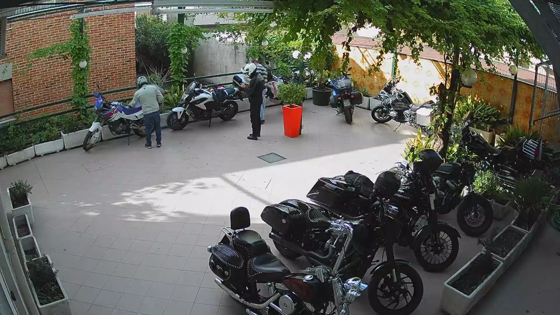 Garden in Hotel Stiefel