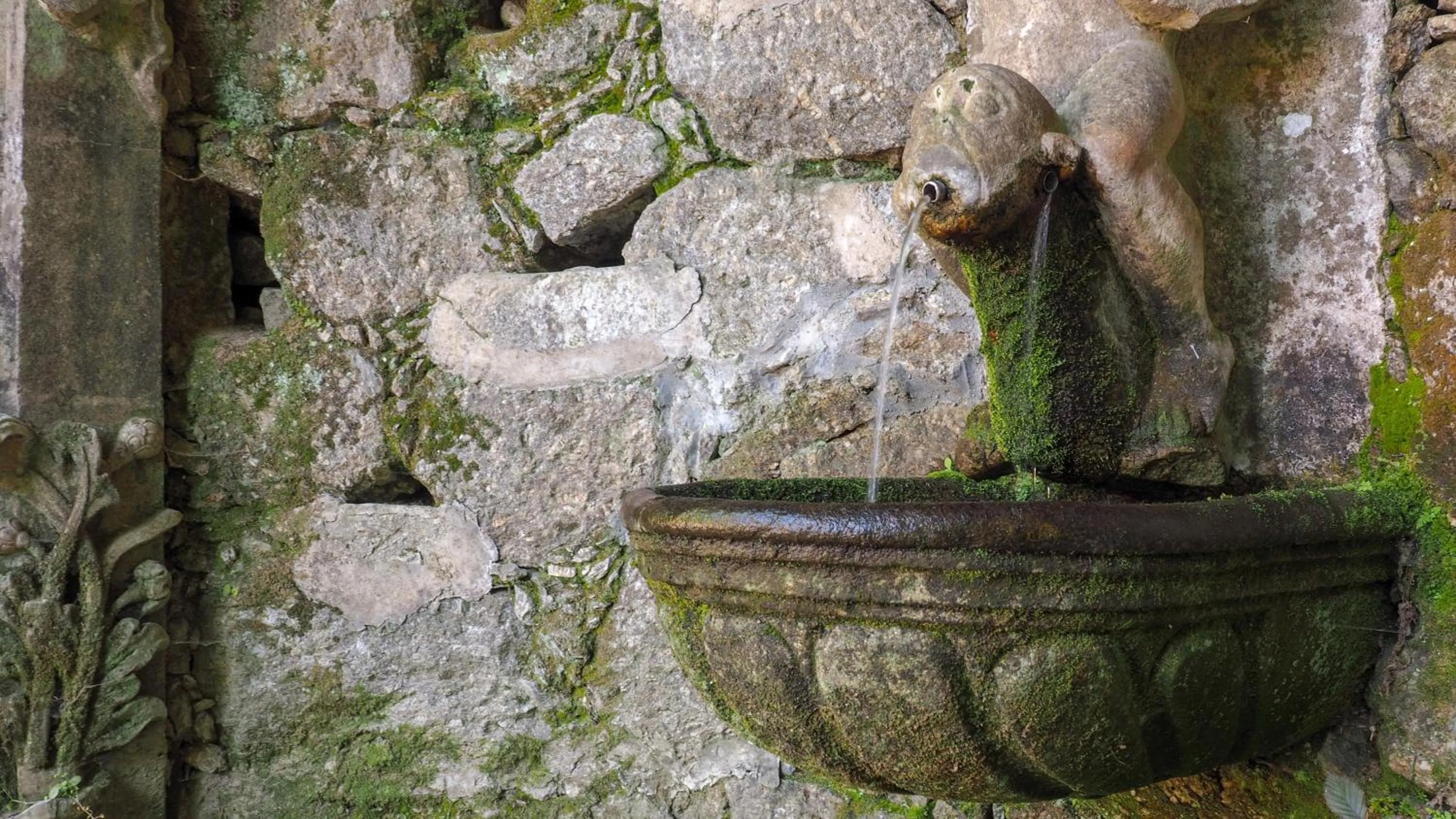 Nearby landmark in Hotel Moon & Sun Braga