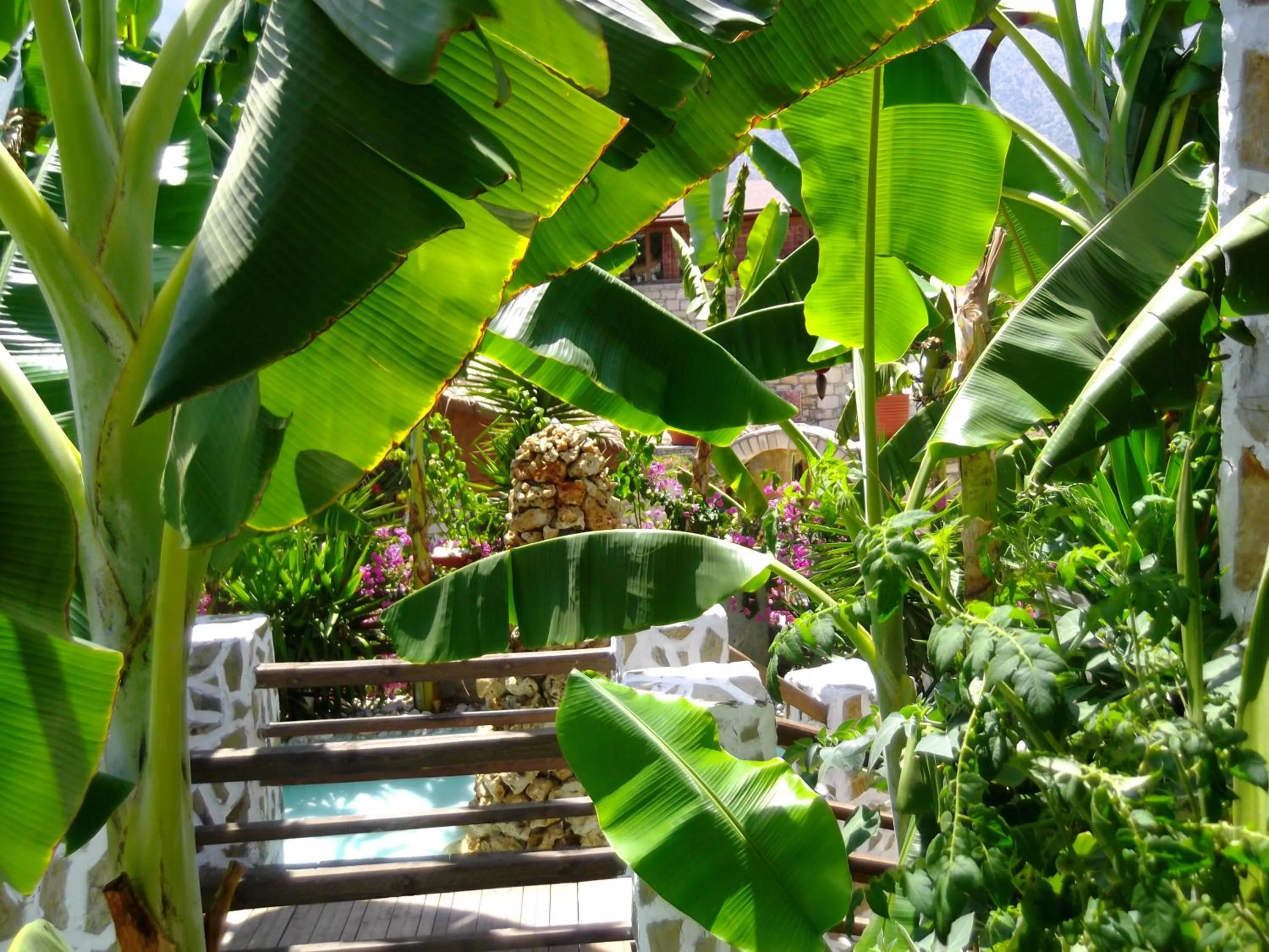 Garden in Stone Village Hotel Apartments