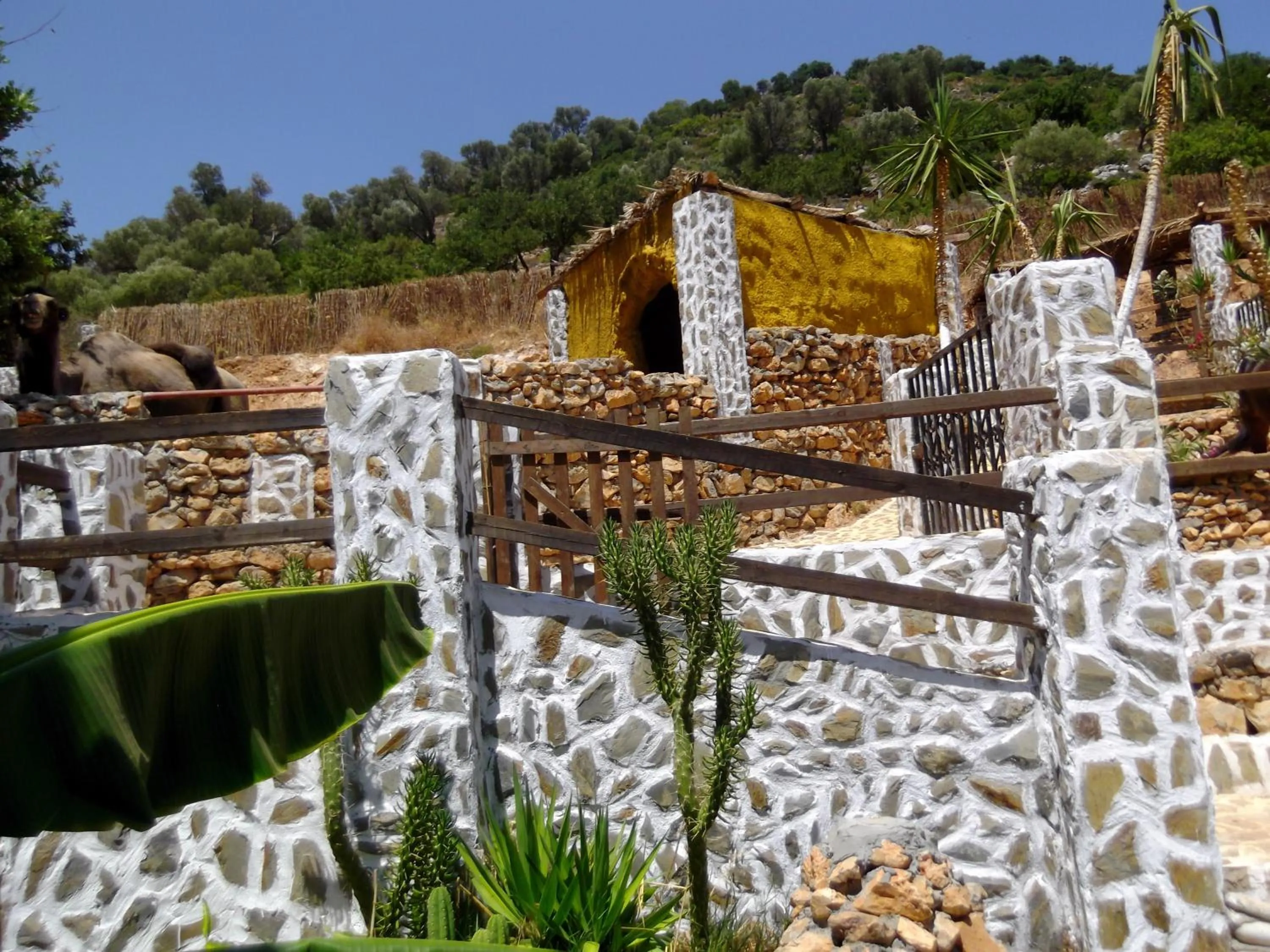 Garden in Stone Village Hotel Apartments