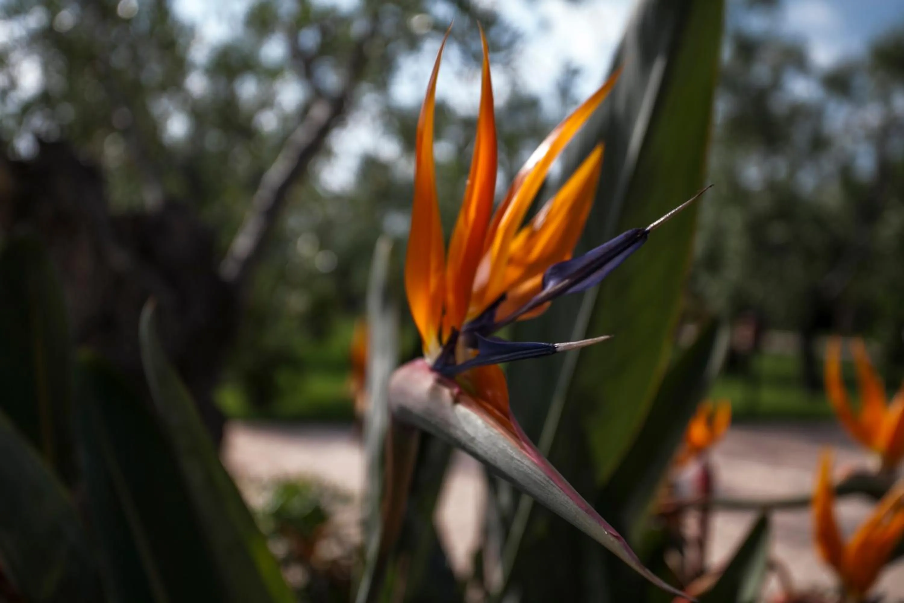 Decorative detail in Villaggio Alba Chiara