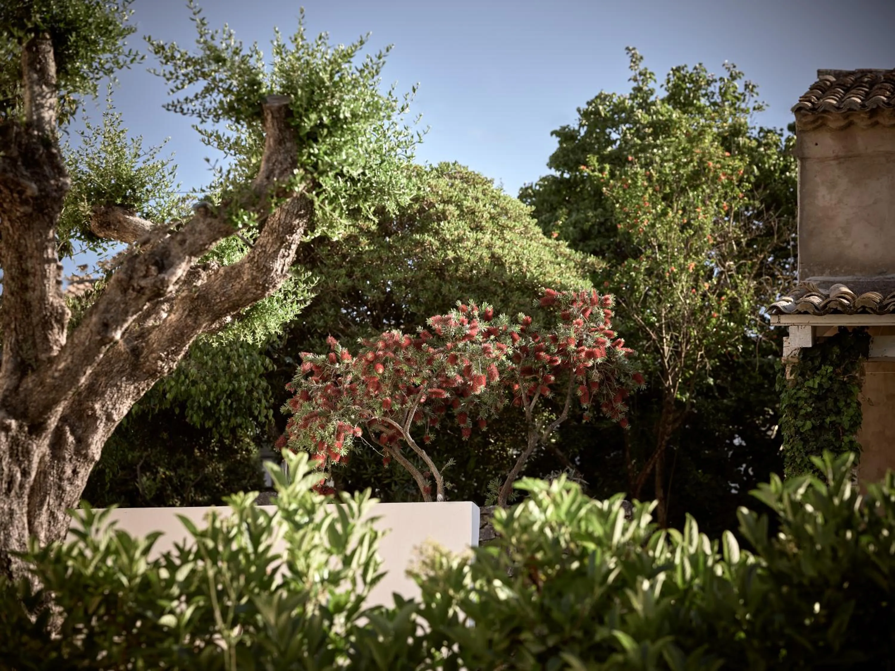 Natural landscape in Razis Apartments