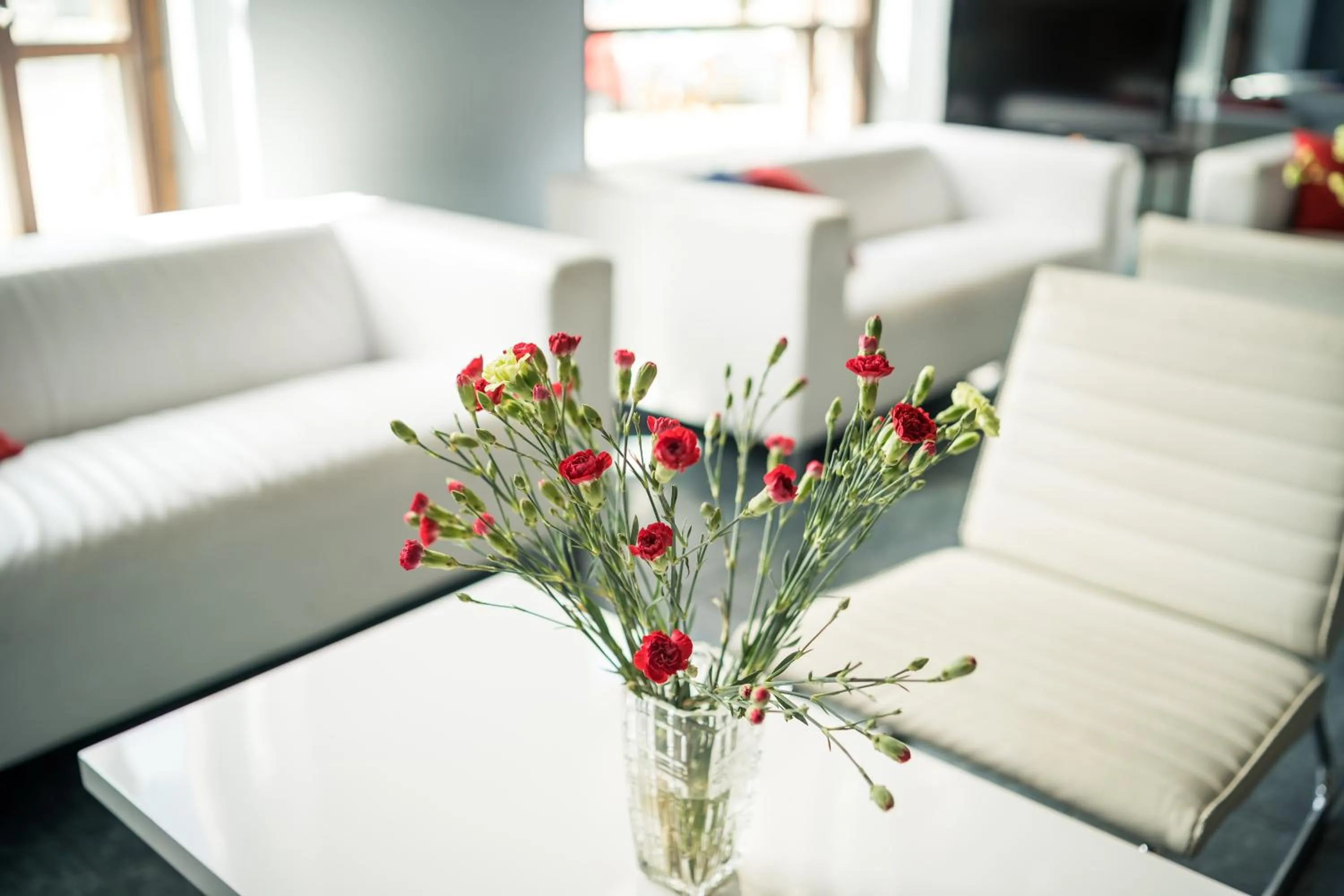 View (from property/room) in Summer Hotel Tott