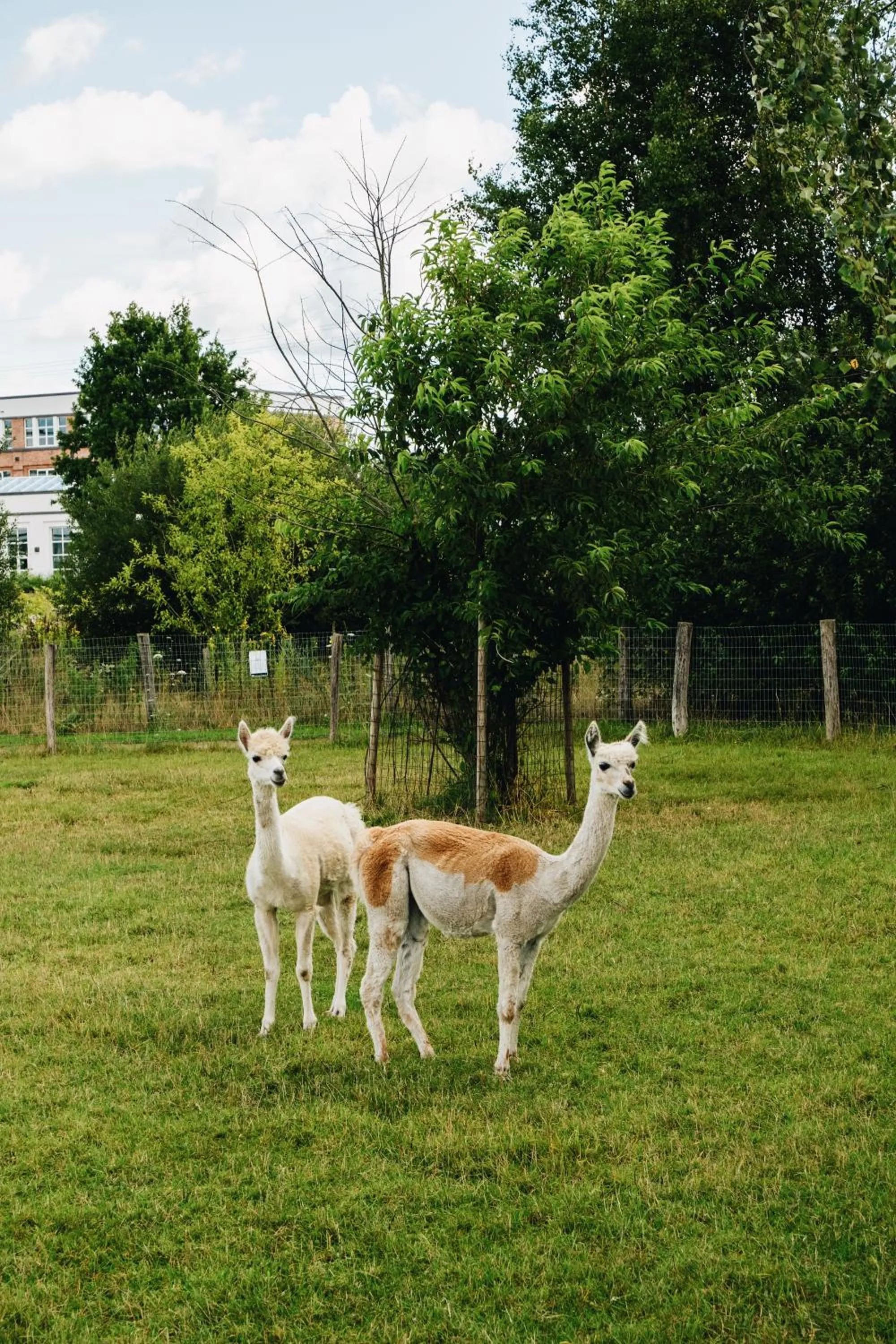 Garden in Van der Valk Hotel Apeldoorn