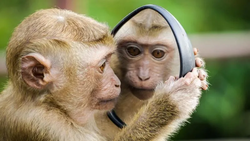 Van der Valk Hotel Apeldoorn