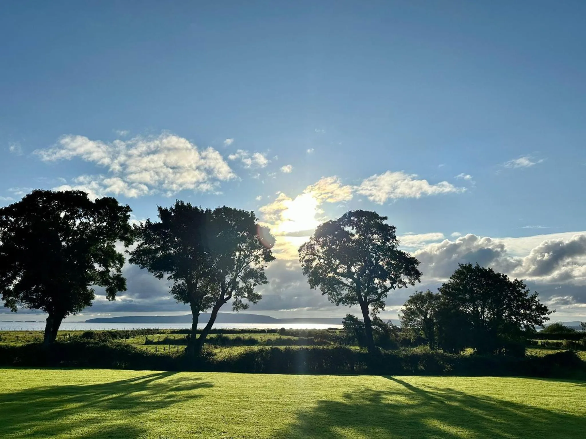 Cherrytree House B&B