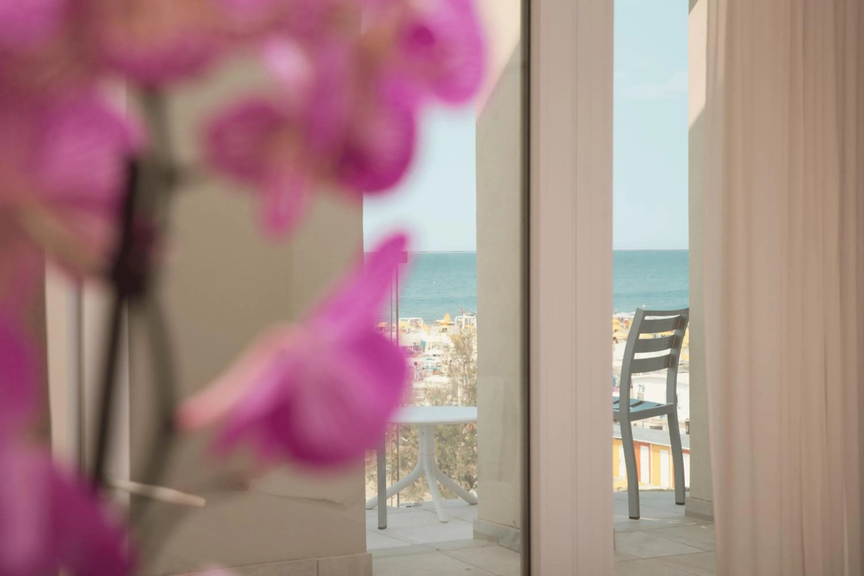 Property building in Hotel Ambassador