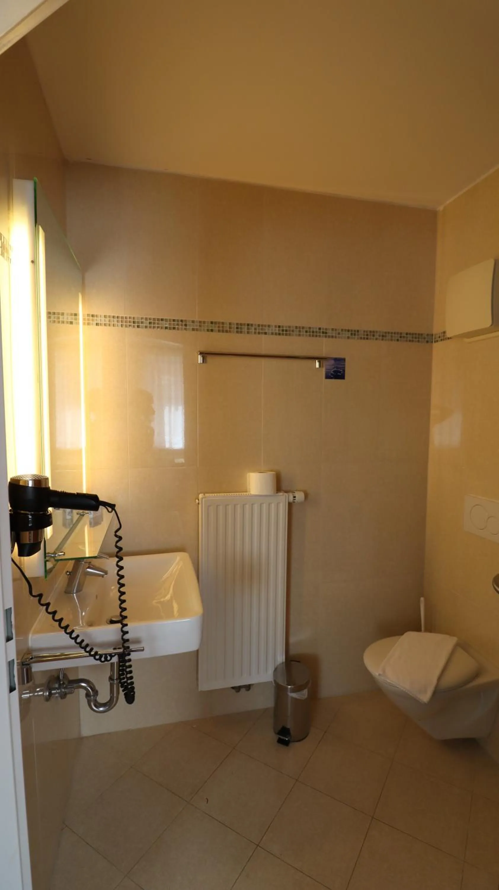 Toilet in Hotel Flair