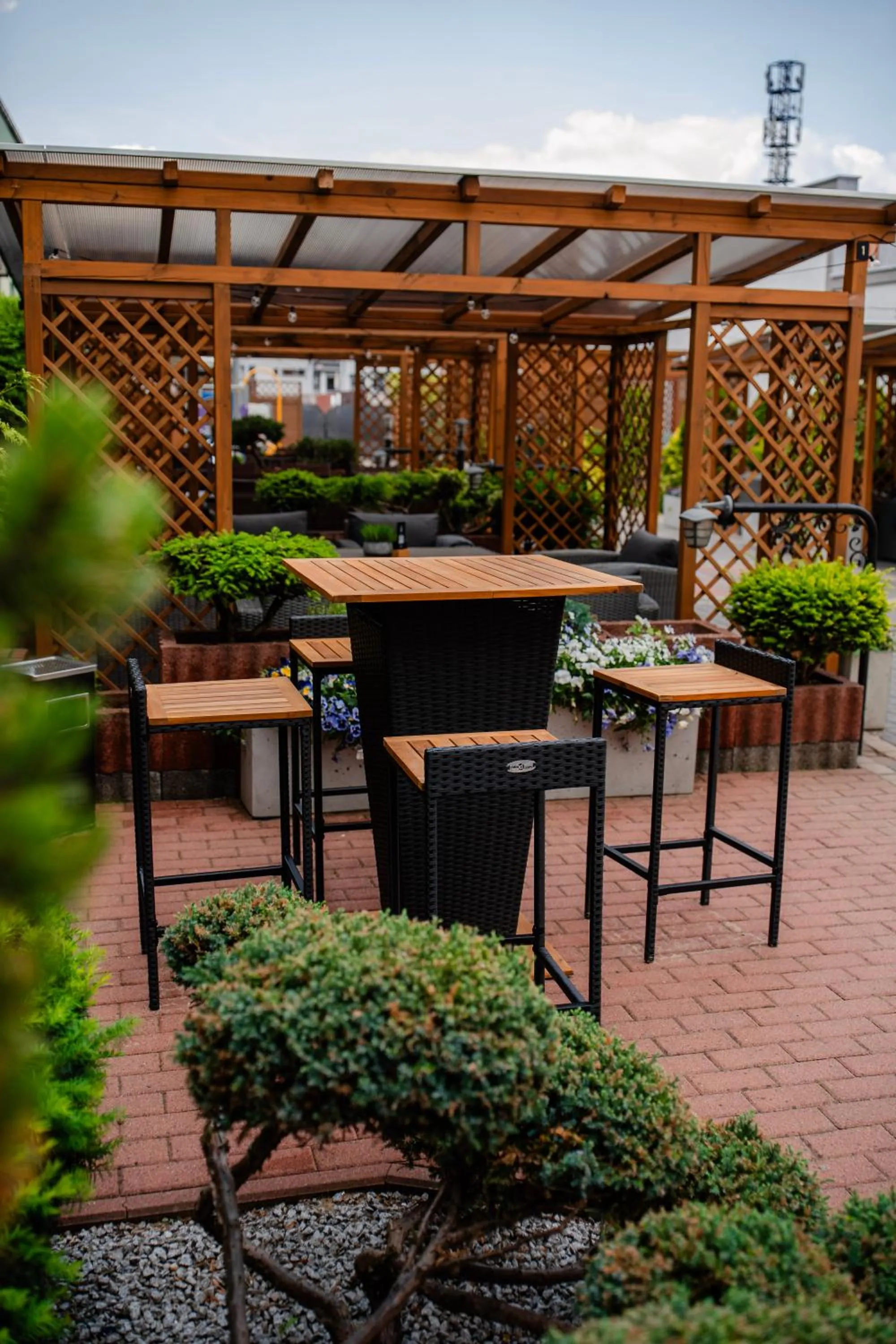 Patio in Hotel Kosmowski