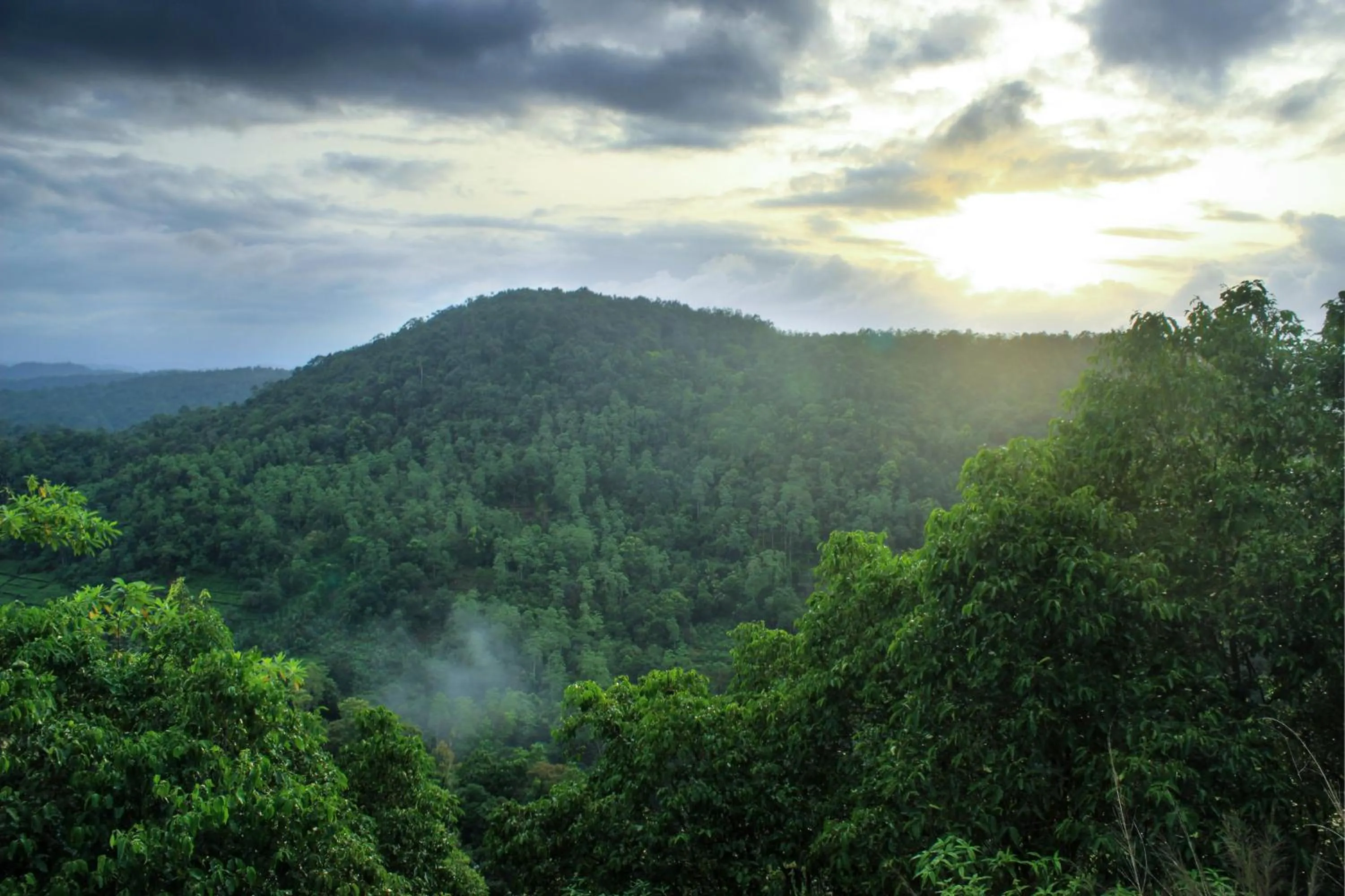 Natural landscape in AHAS GAWWA Eco Lodge