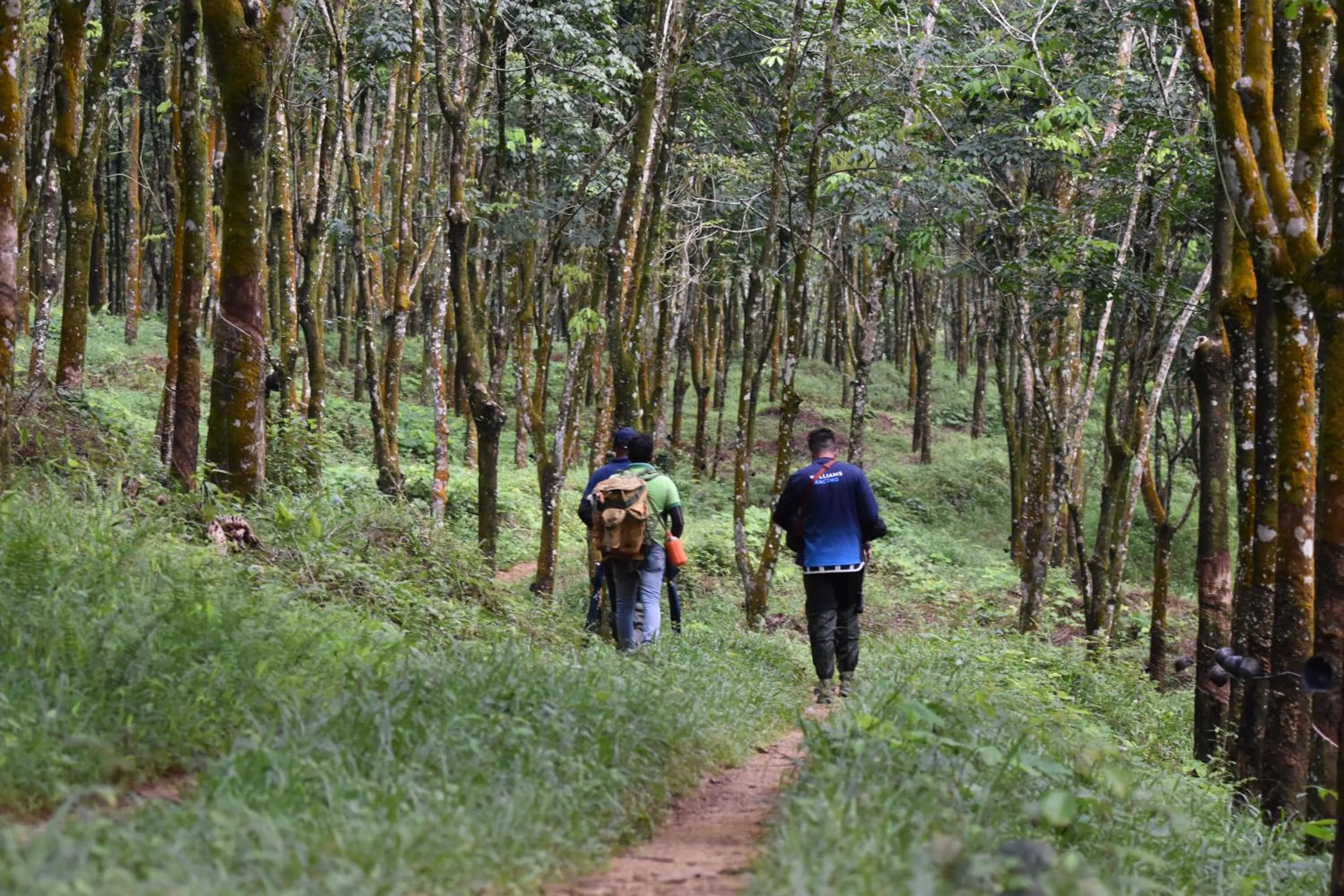 AHAS GAWWA Eco Lodge