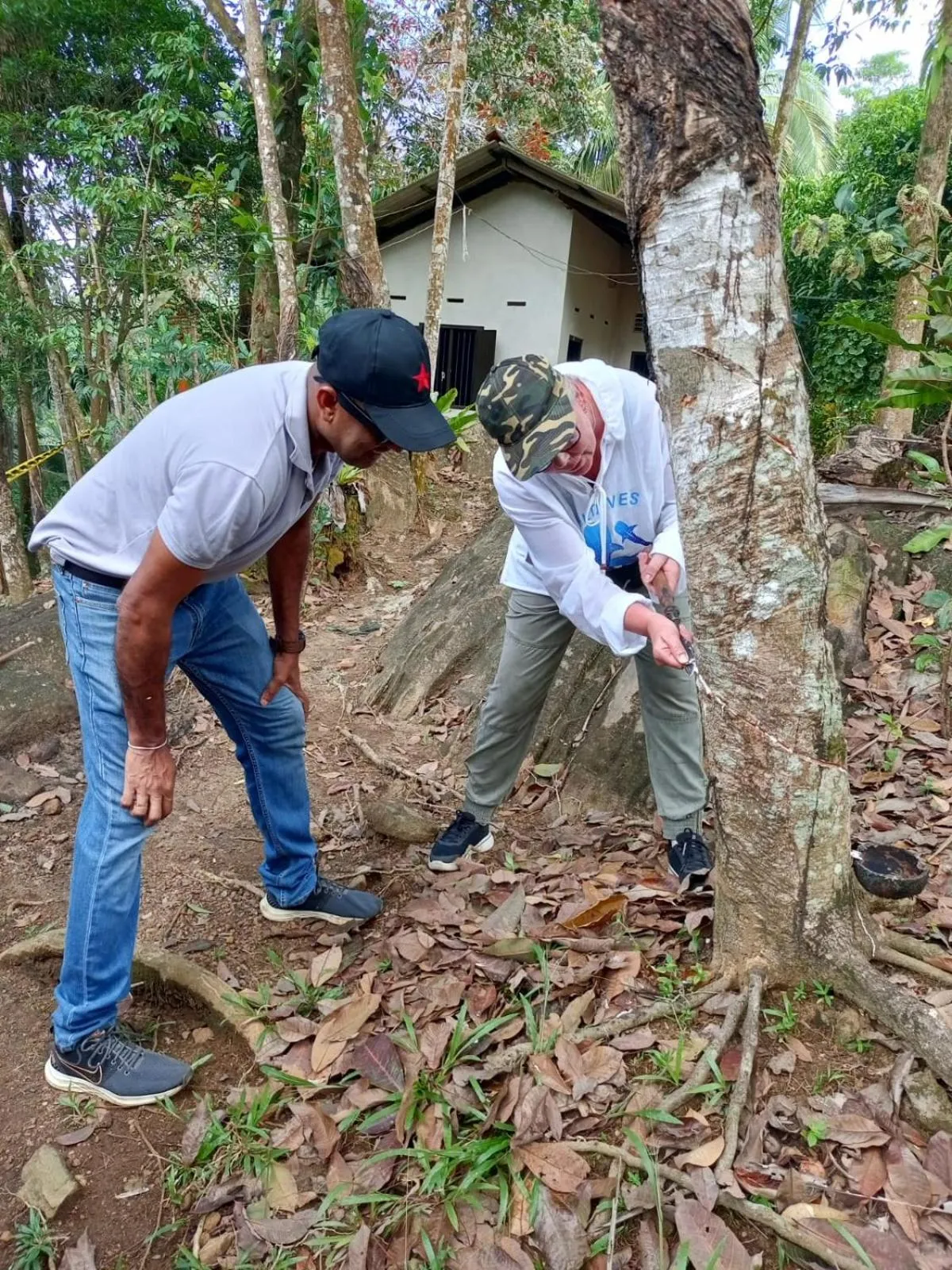 AHAS GAWWA Eco Lodge