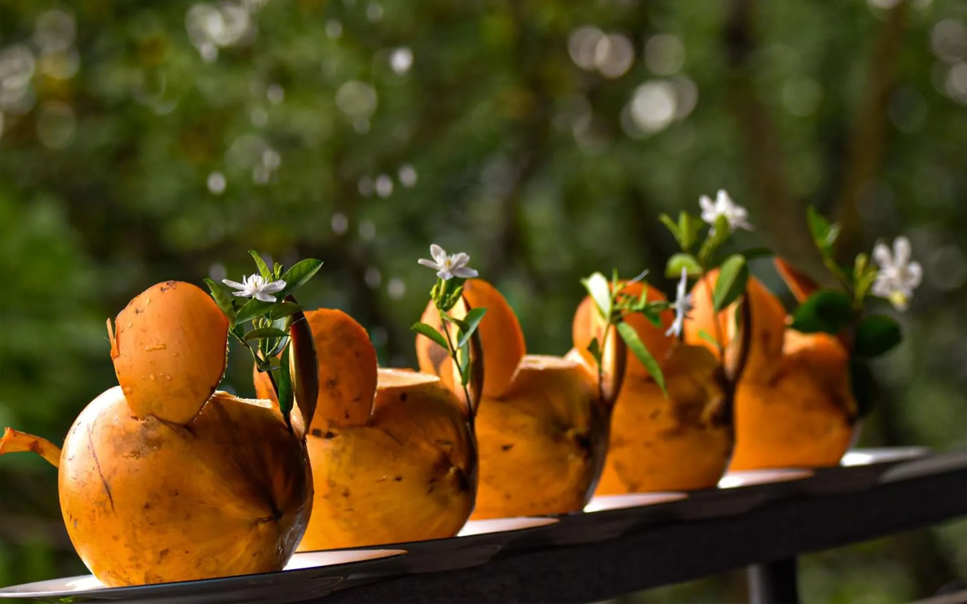 Restaurant/places to eat in AHAS GAWWA Eco Lodge