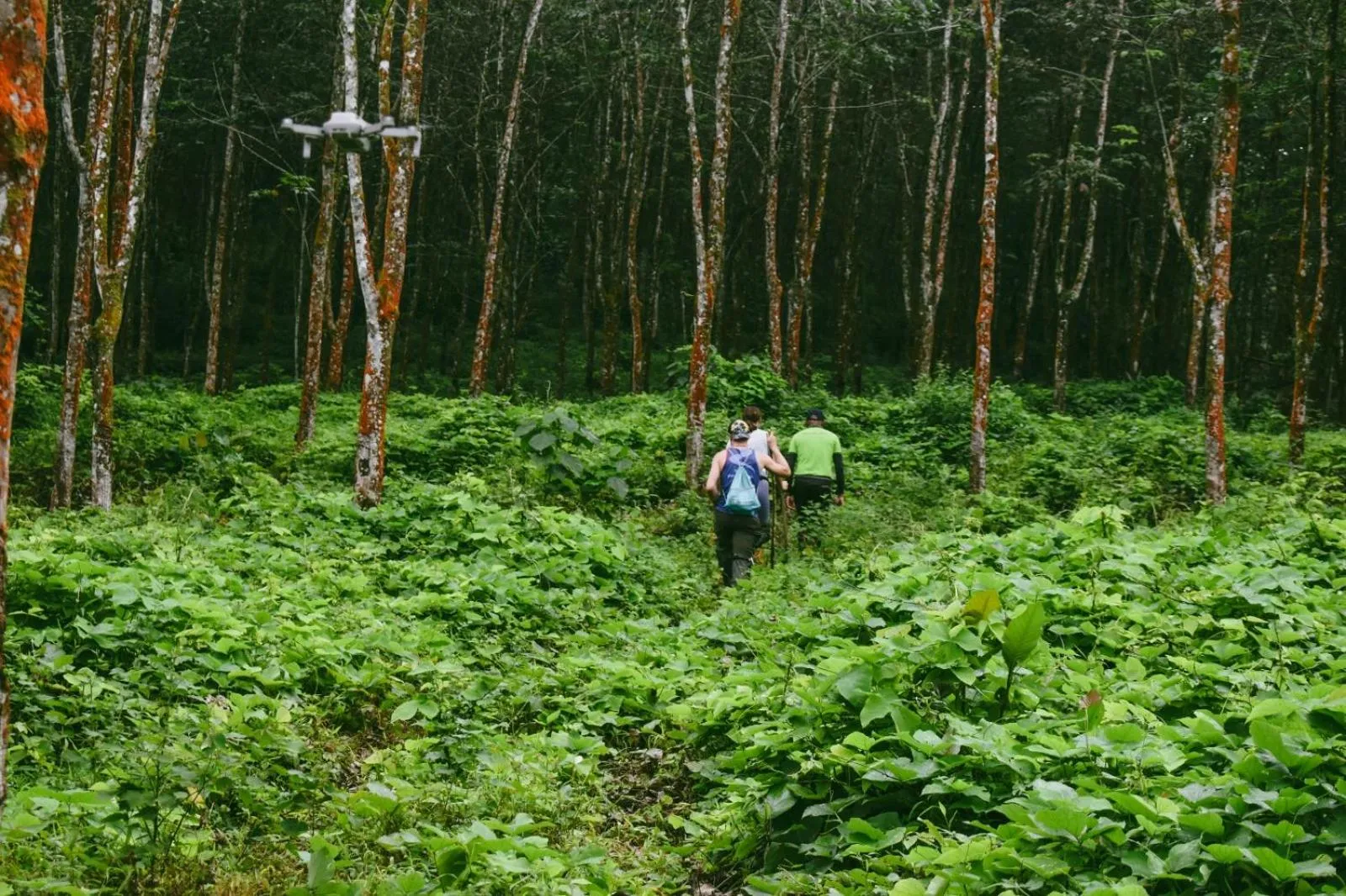 AHAS GAWWA Eco Lodge