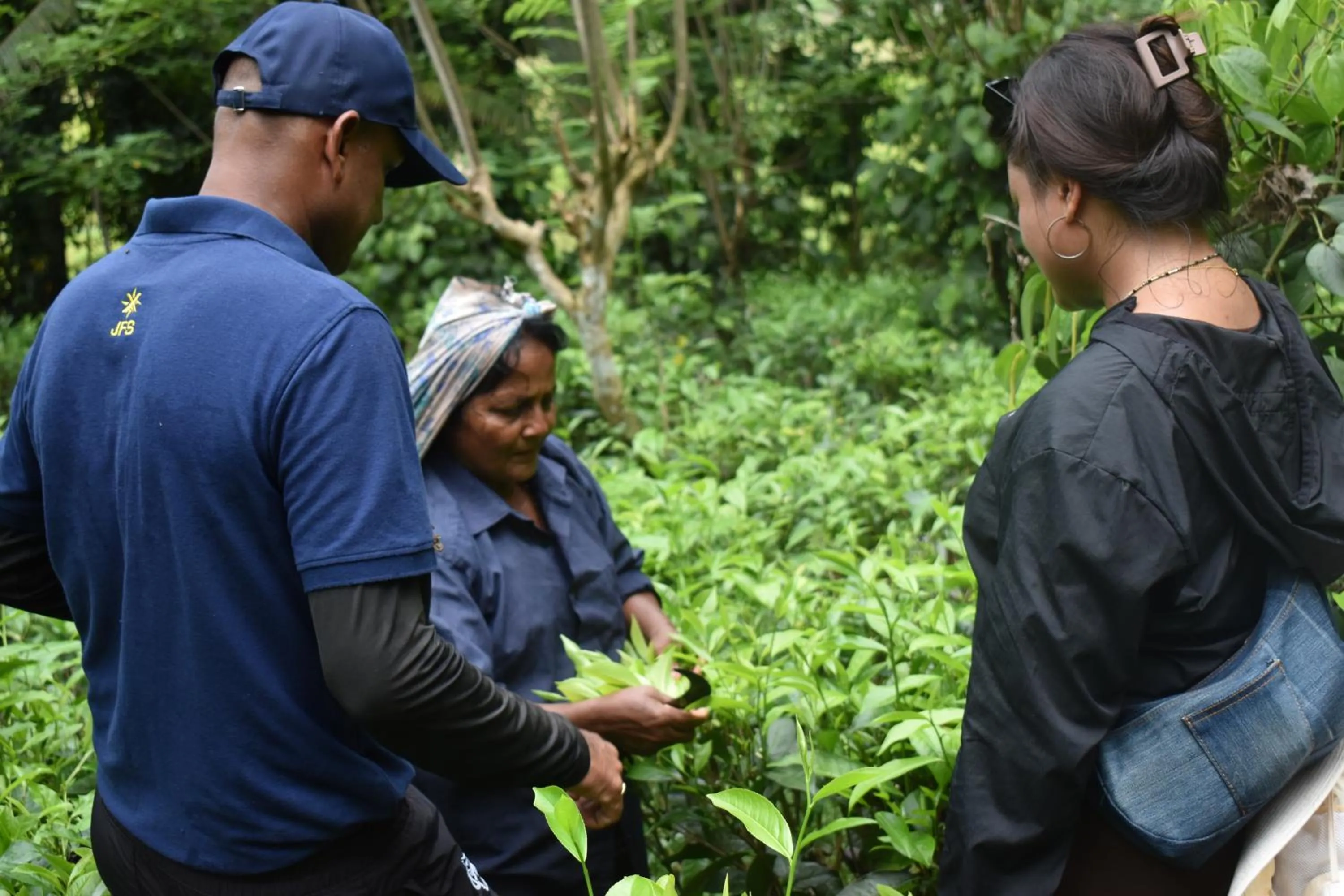 AHAS GAWWA Eco Lodge