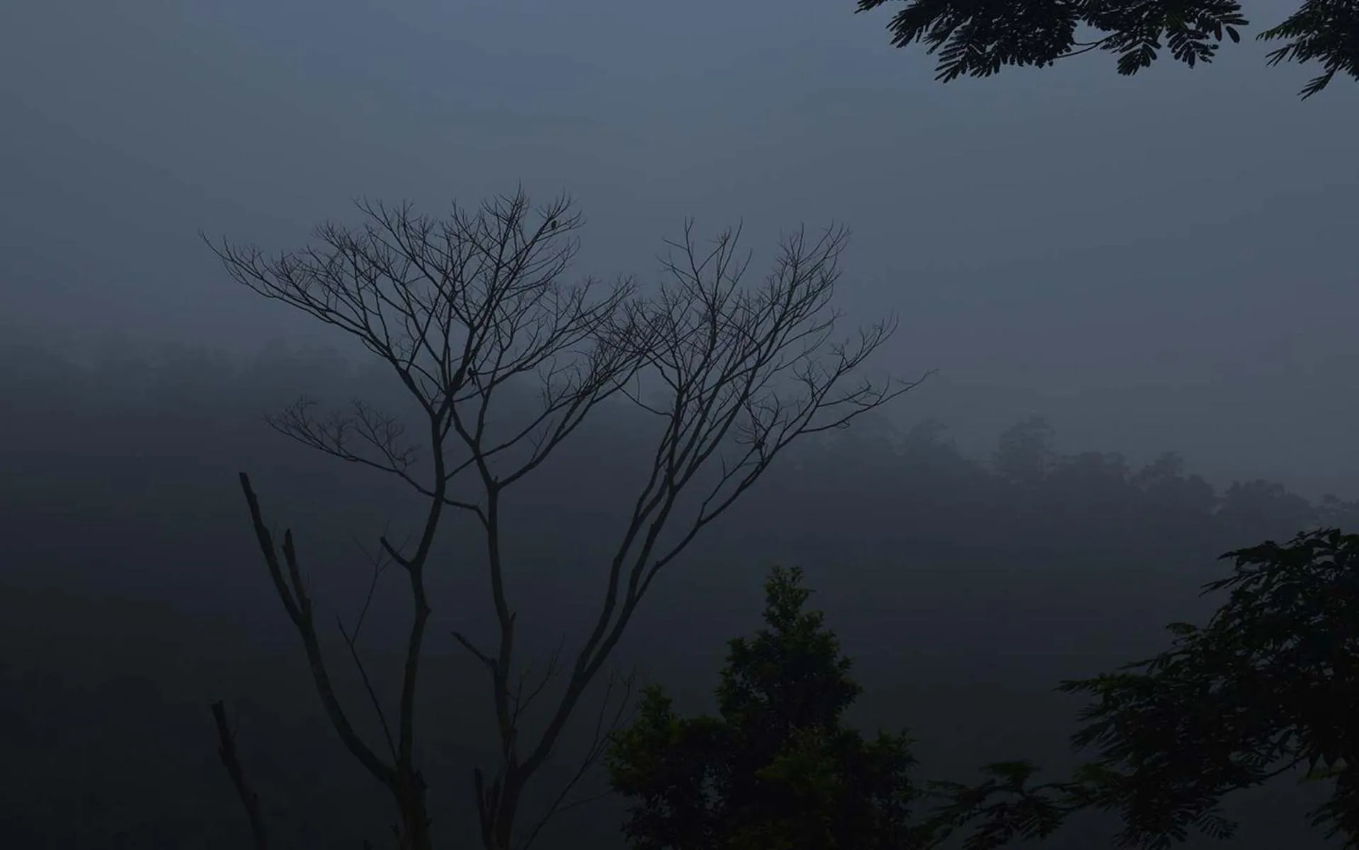 AHAS GAWWA Eco Lodge