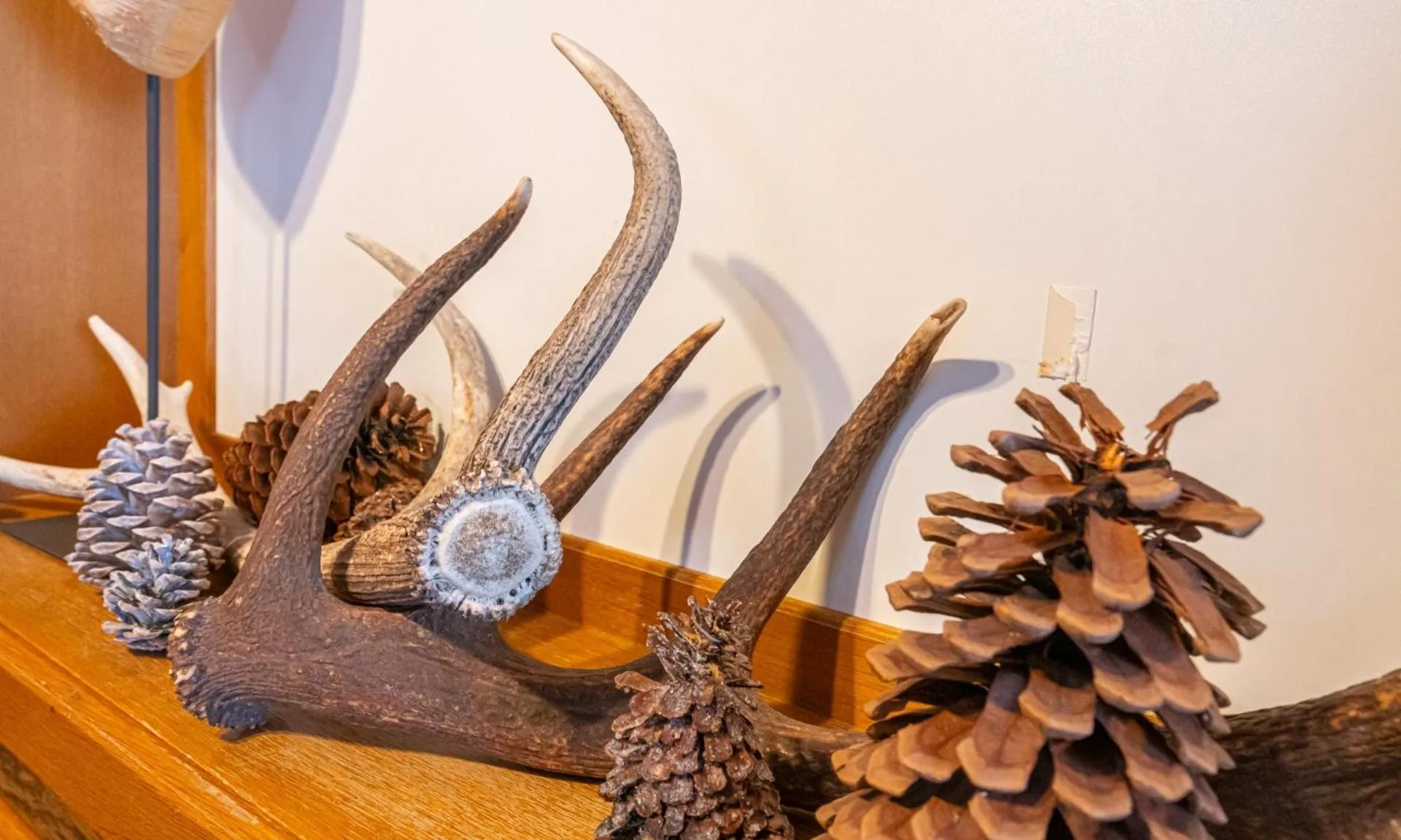 Decorative detail in Hotel Wechselberger by Alpeffect Hotels