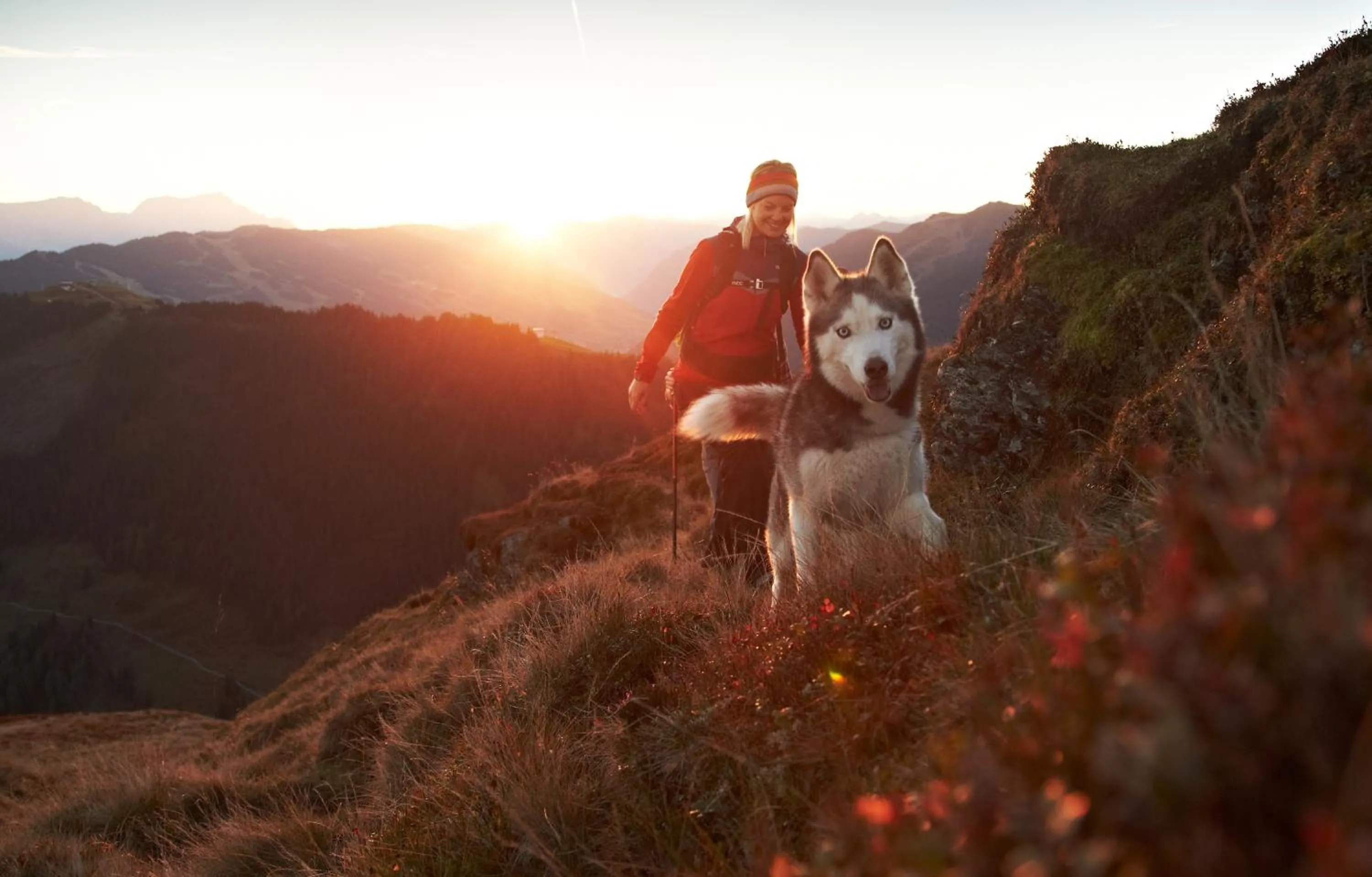 Hiking in Hotel Wechselberger by Alpeffect Hotels
