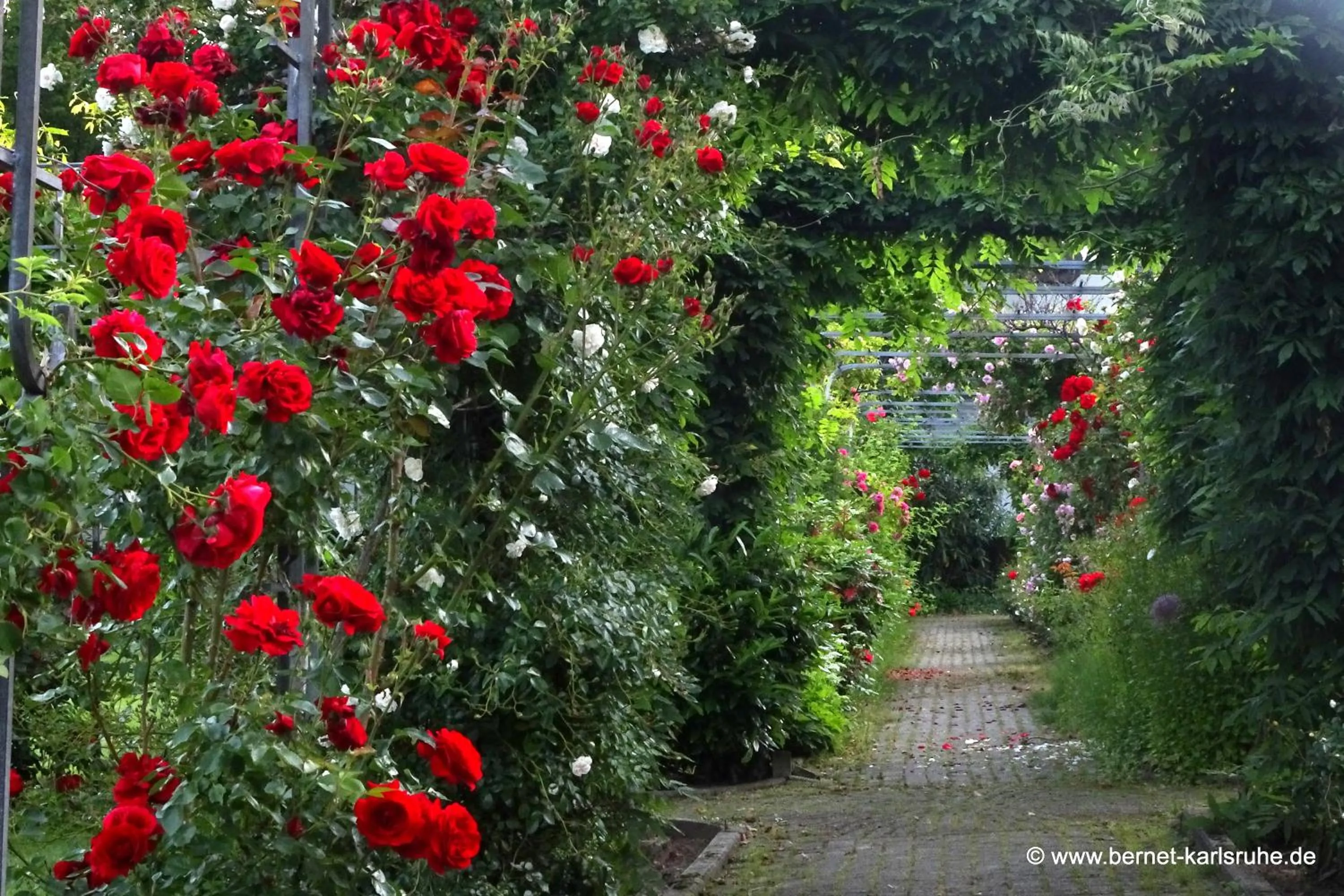 Garden in Kloster Maria Hilf