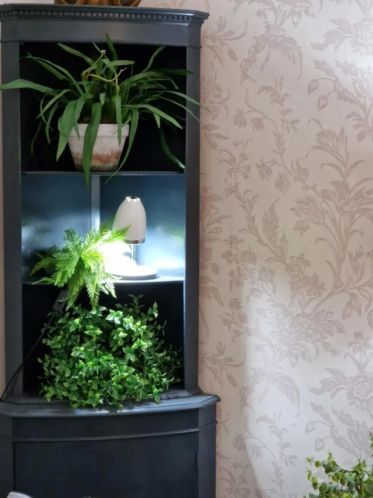 Eagle View Guest House Eagle View Guest House