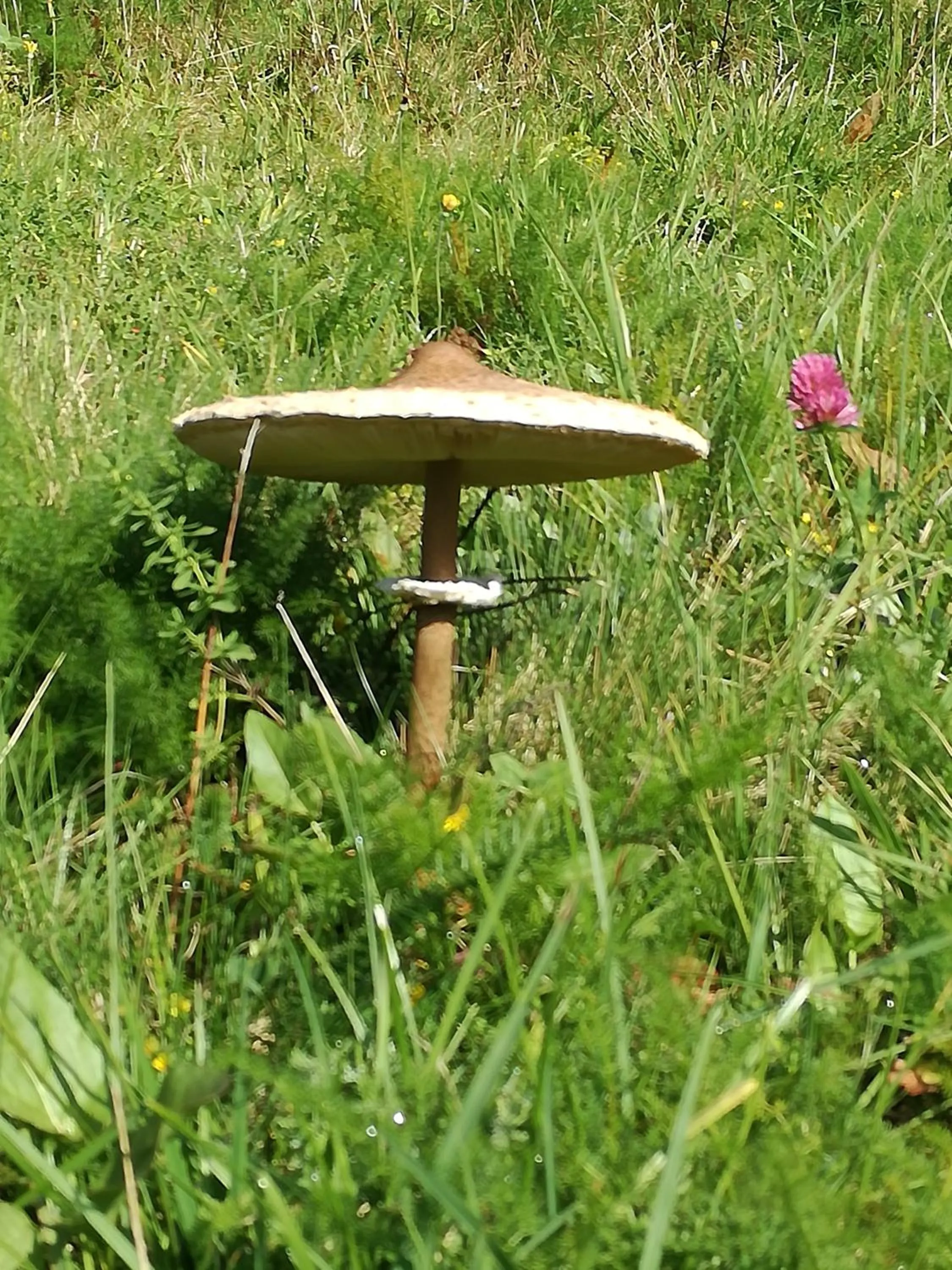 Autumn in Hotel La Quinta - adults only